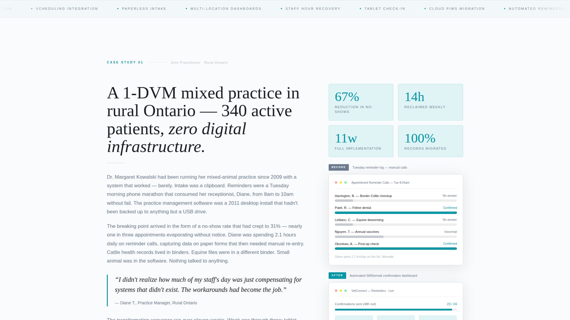 Veterinary Consulting Portfolio Website Template
