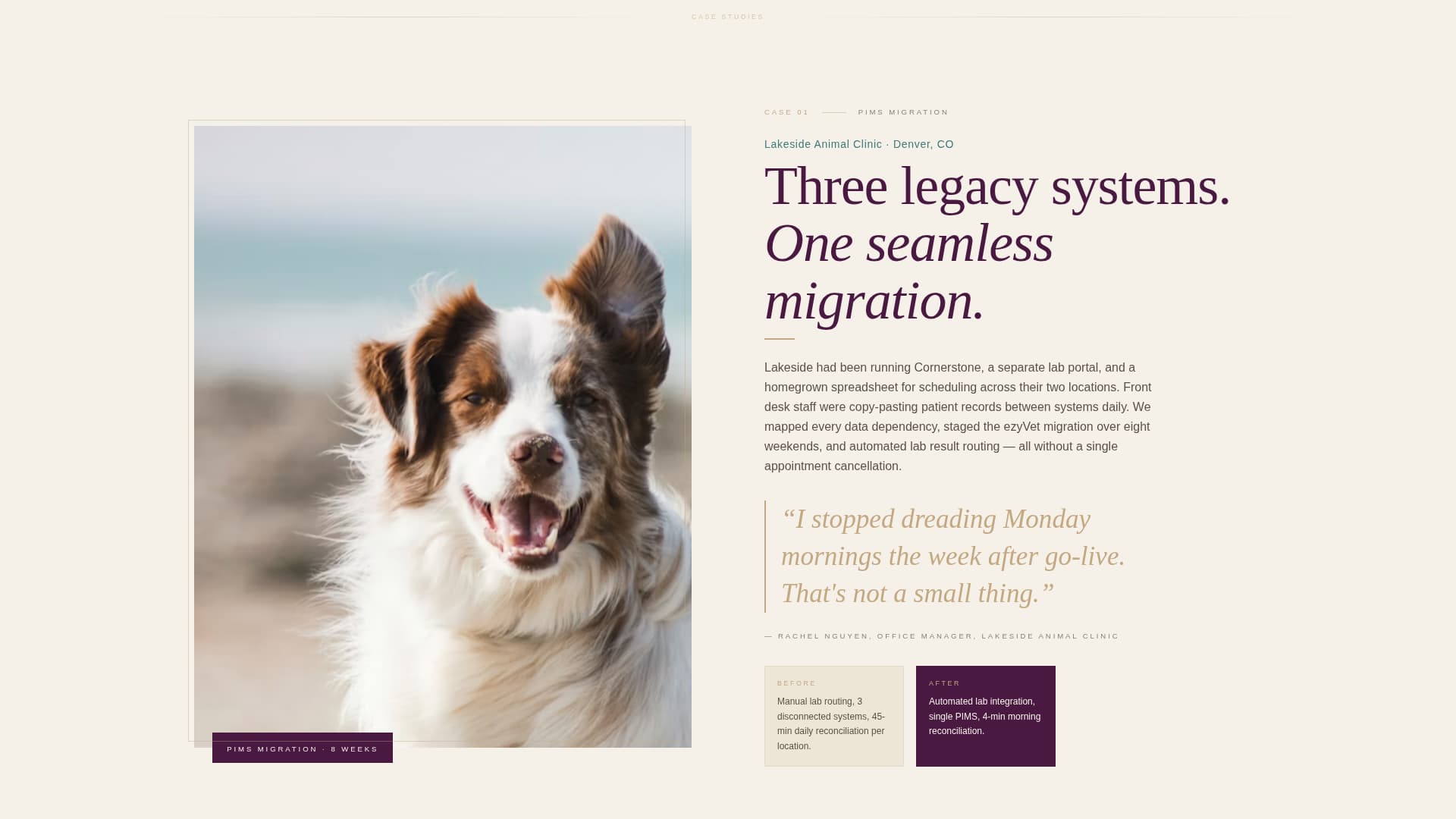 Veterinary Consulting Specialist Blog Website Template