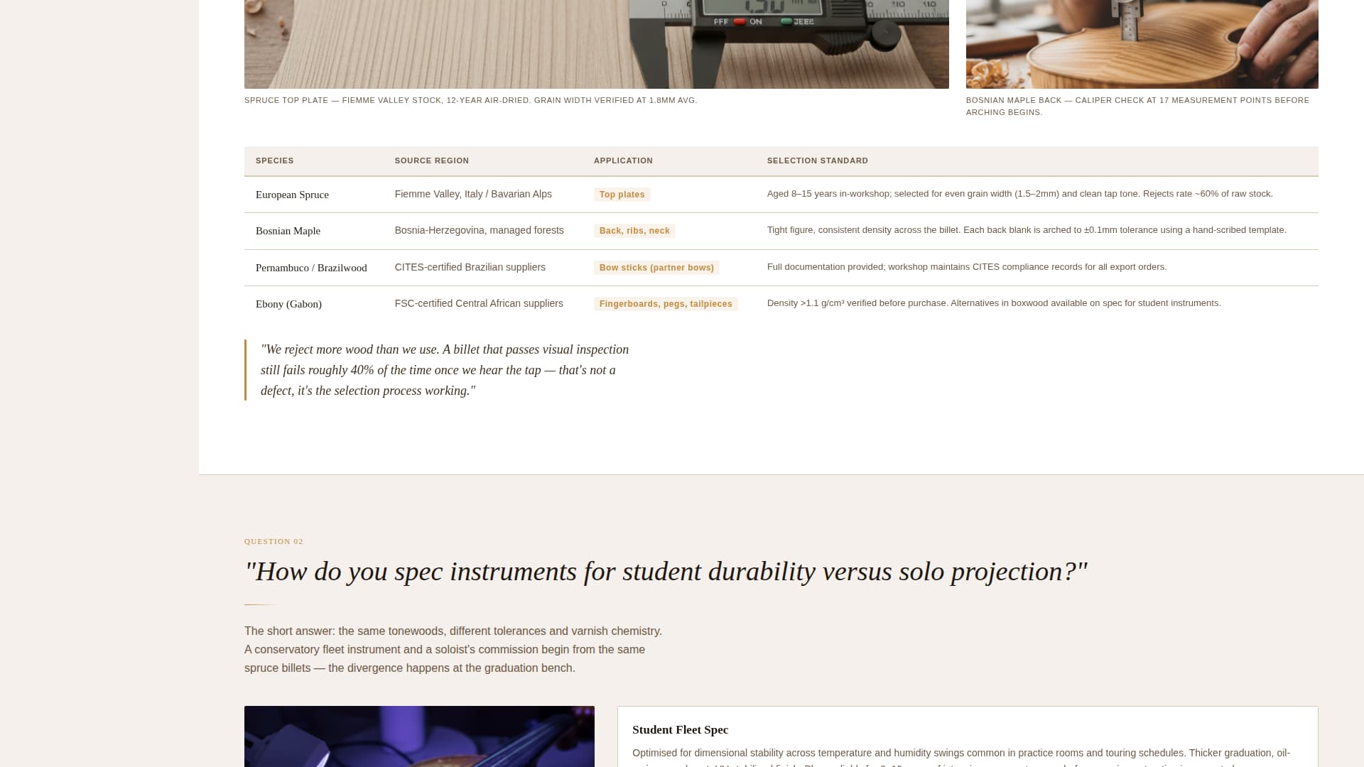 Luthier — Master Violin Maker Landing Page Template