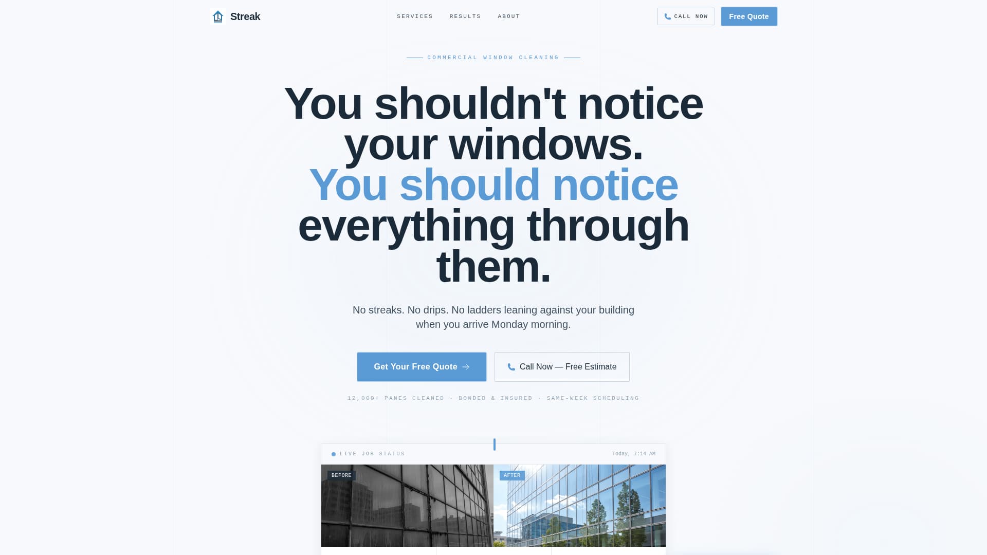 Window Cleaner Marketing Specialist Reviews Website Template