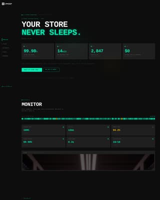 E-Commerce Store Maintenance Service Website Template