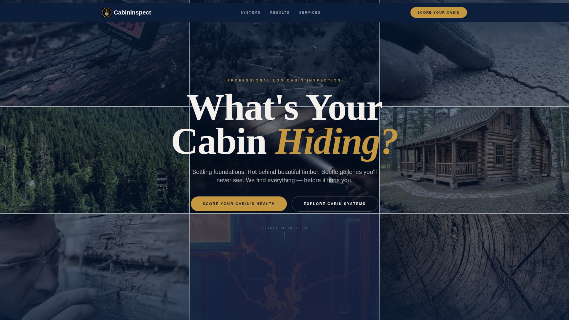 Cabininspect - Authoritative Propertyinspection Landing Page Template