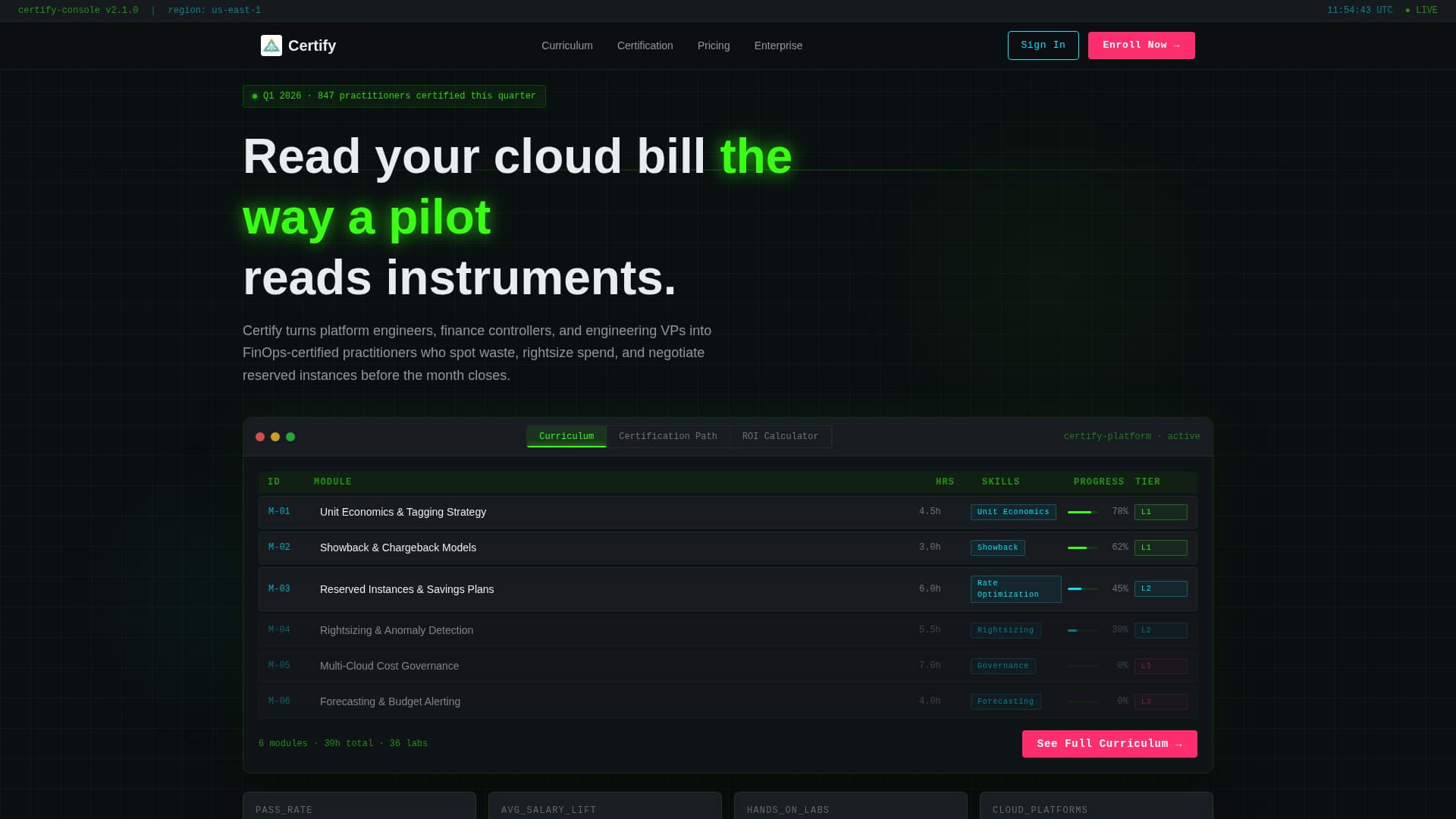 FinOps Technology Specialist Professional Website Template