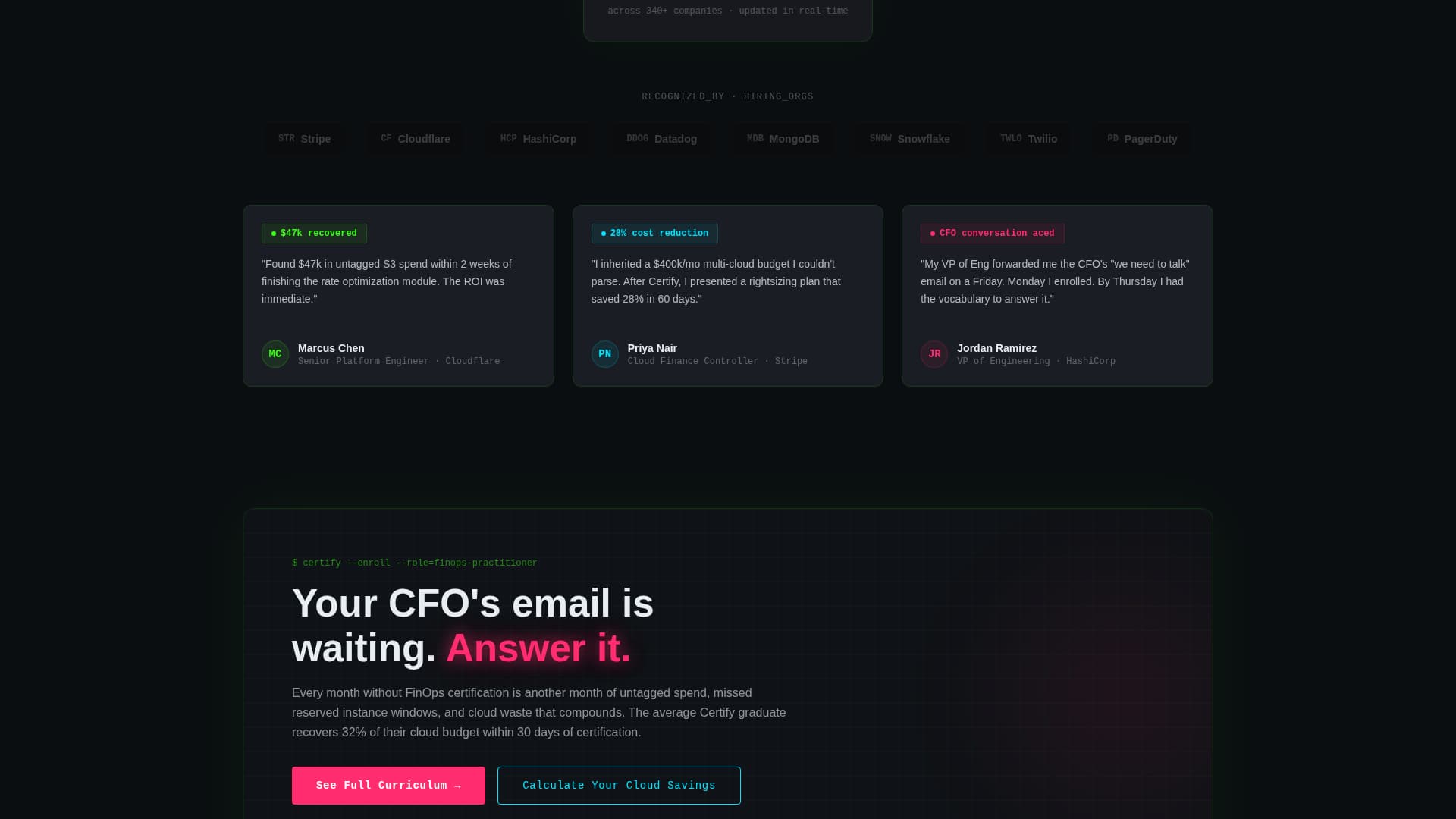 FinOps Technology Specialist Professional Website Template