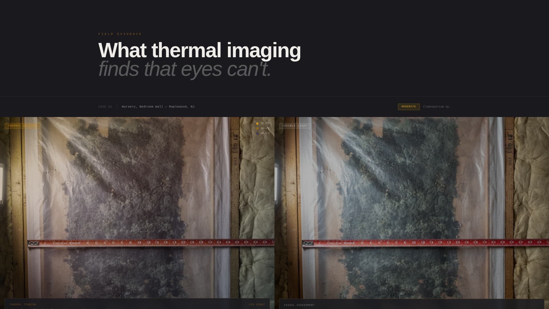 Spore - Immersive Inspection Landing Page Template