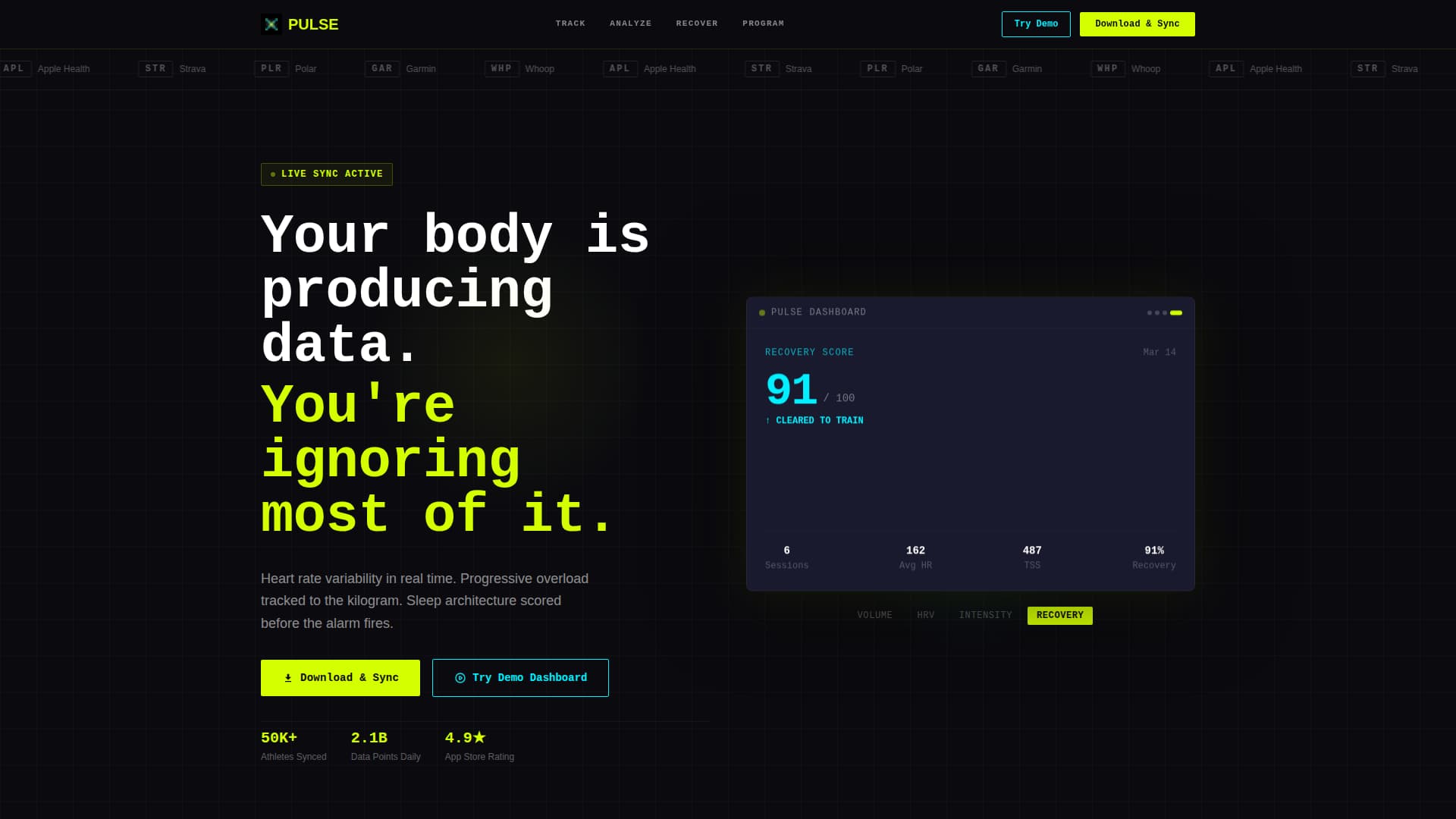 Fitness Software & SaaS Professional Website Template
