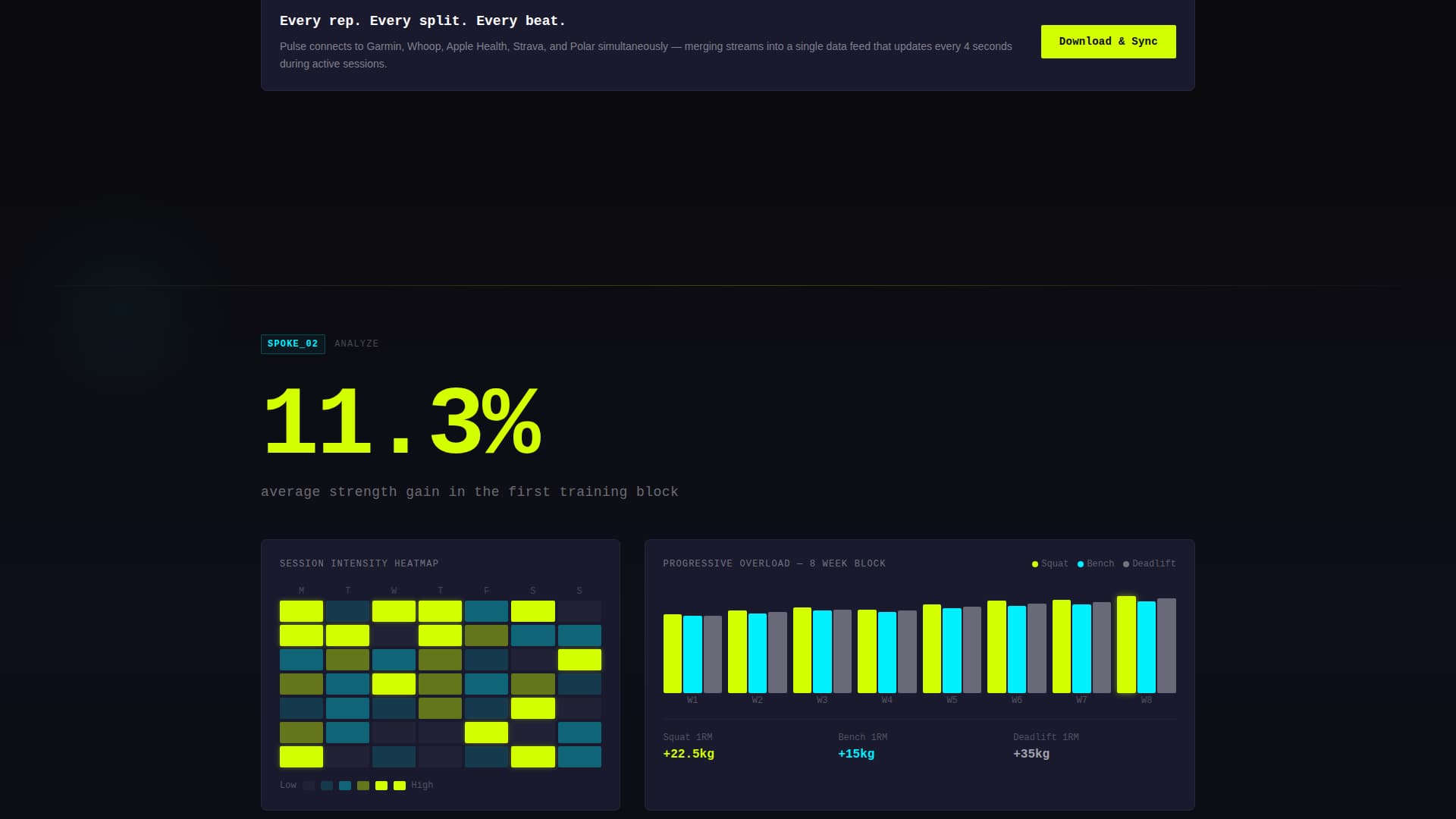 Fitness Software & SaaS Professional Website Template