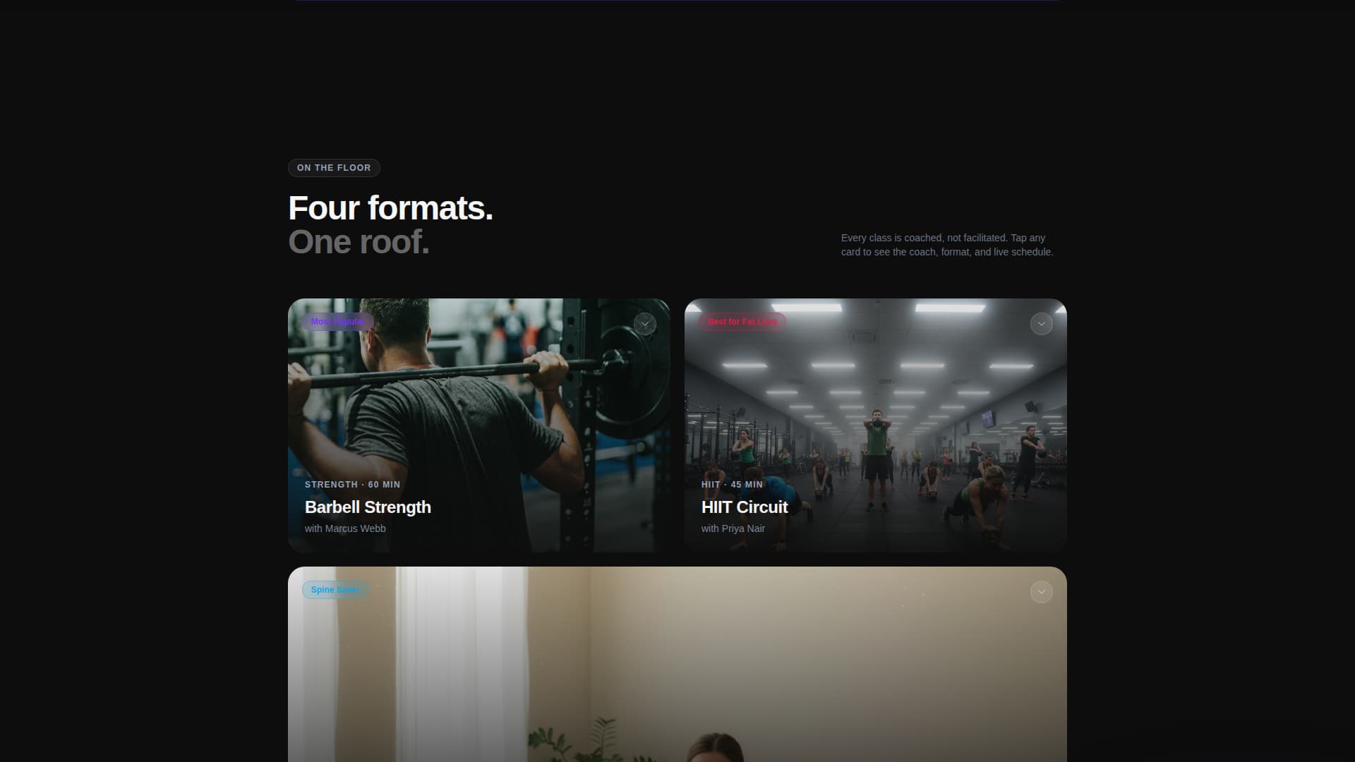 Fitness Studio Expert Booking Website Template
