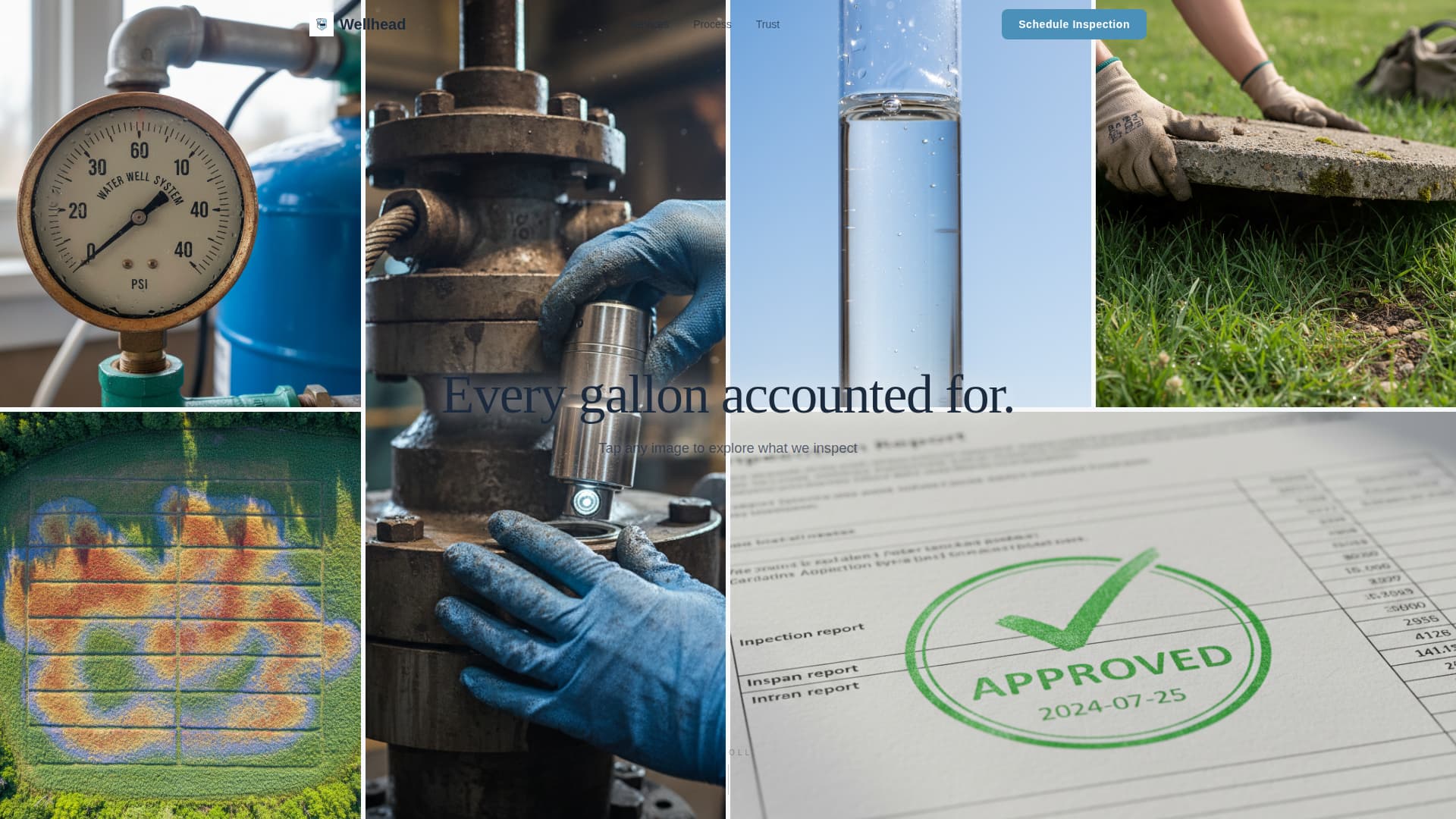 Wellhead - Trusted Inspection Landing Page Template
