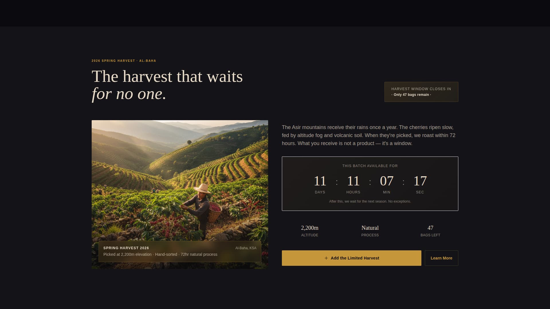 Dalah - Ceremonial Coffee Landing Page Template