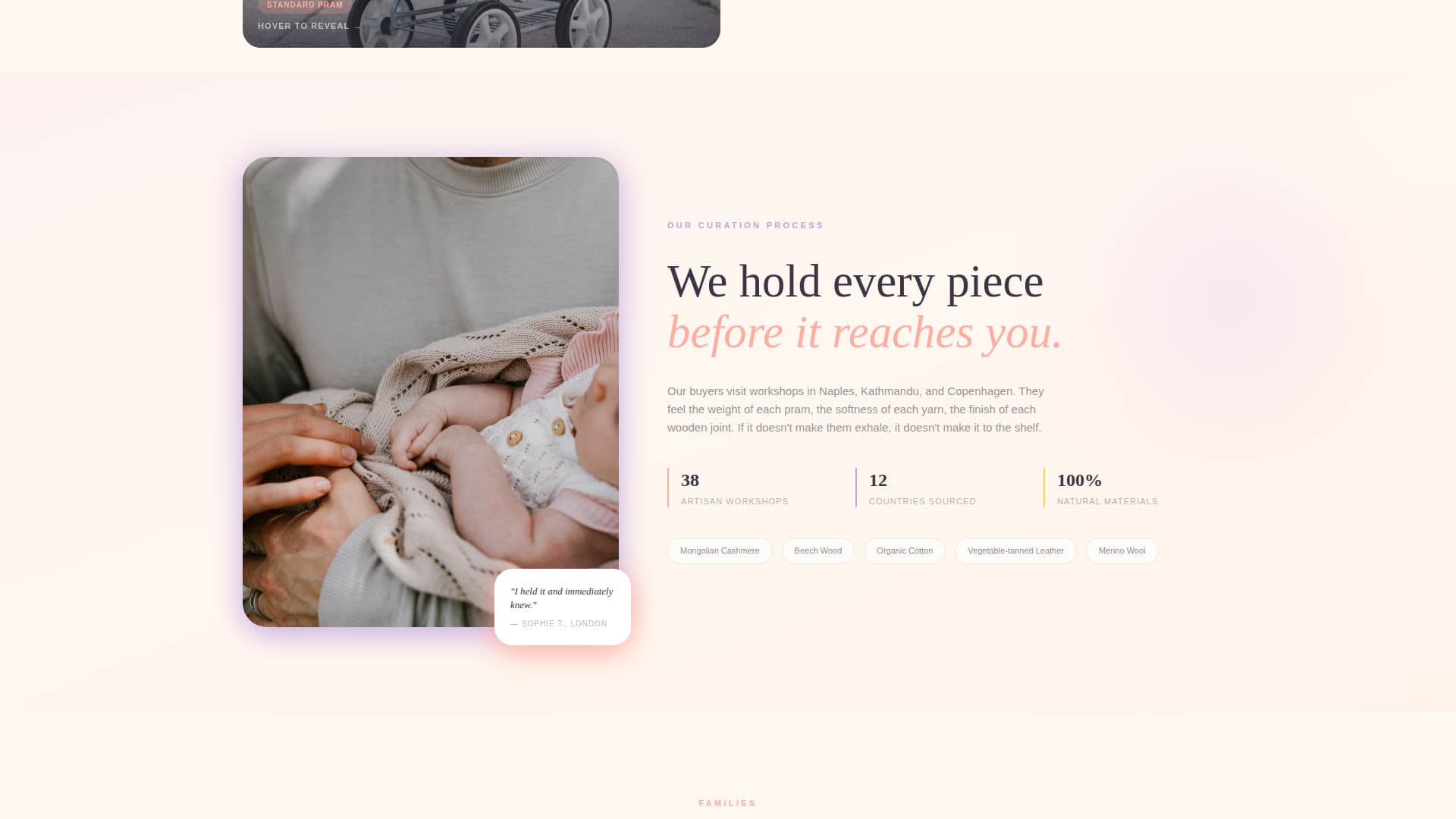 Bloom - Luxurious Baby Landing Page Template