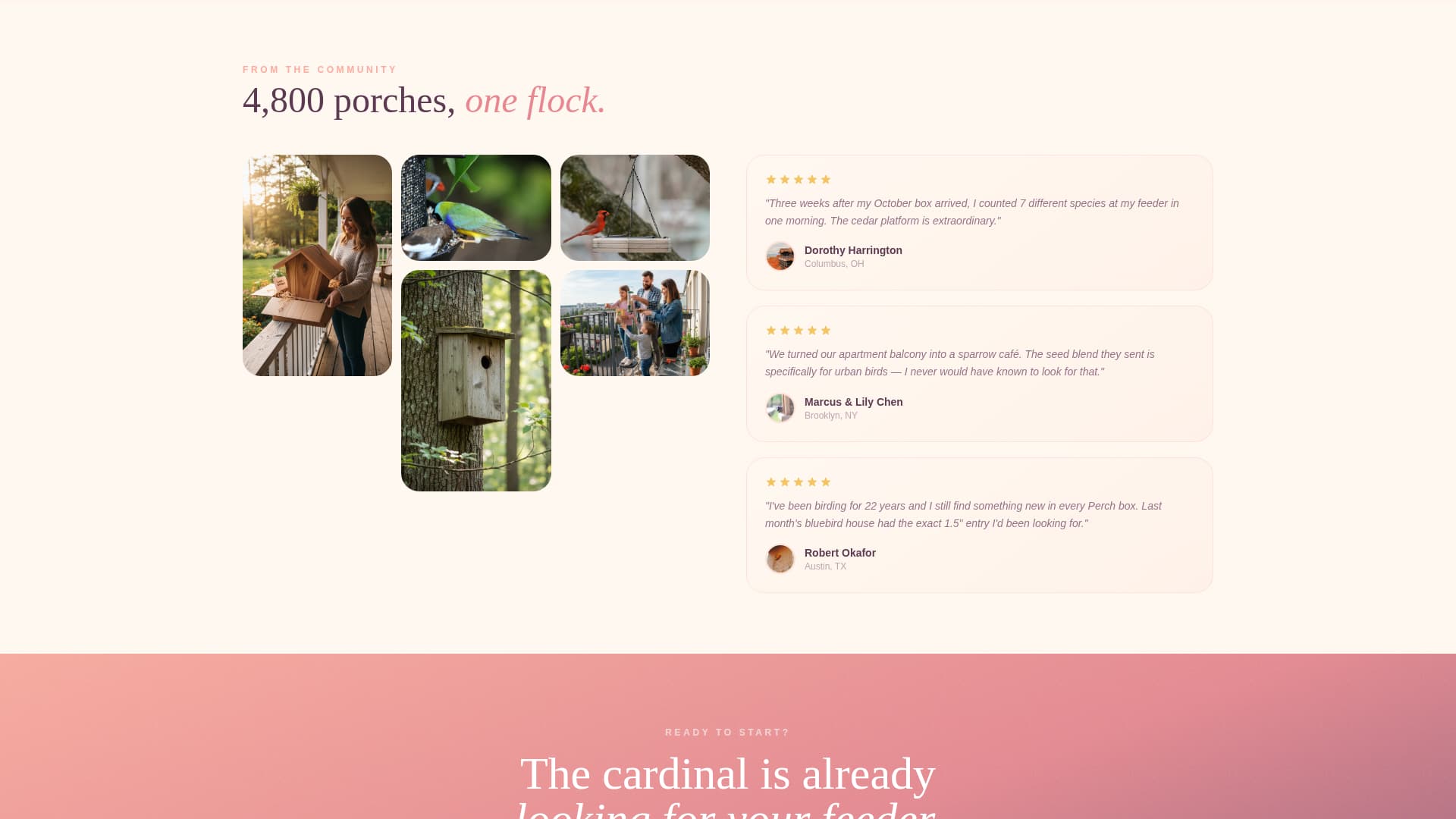 Bird - Premium Feeders Landing Page Template
