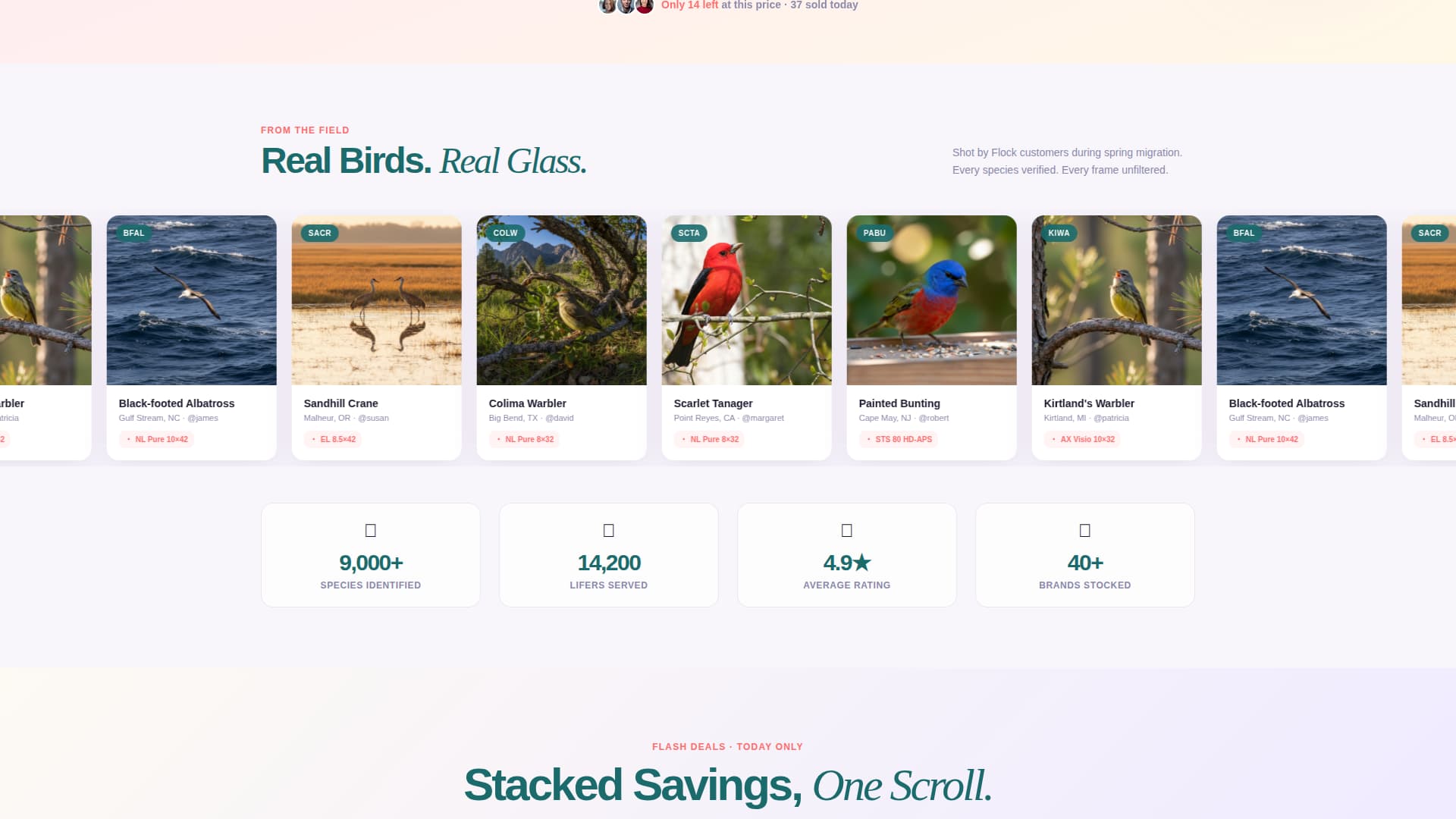 Flock - Vibrant Birdwatching Landing Page Template