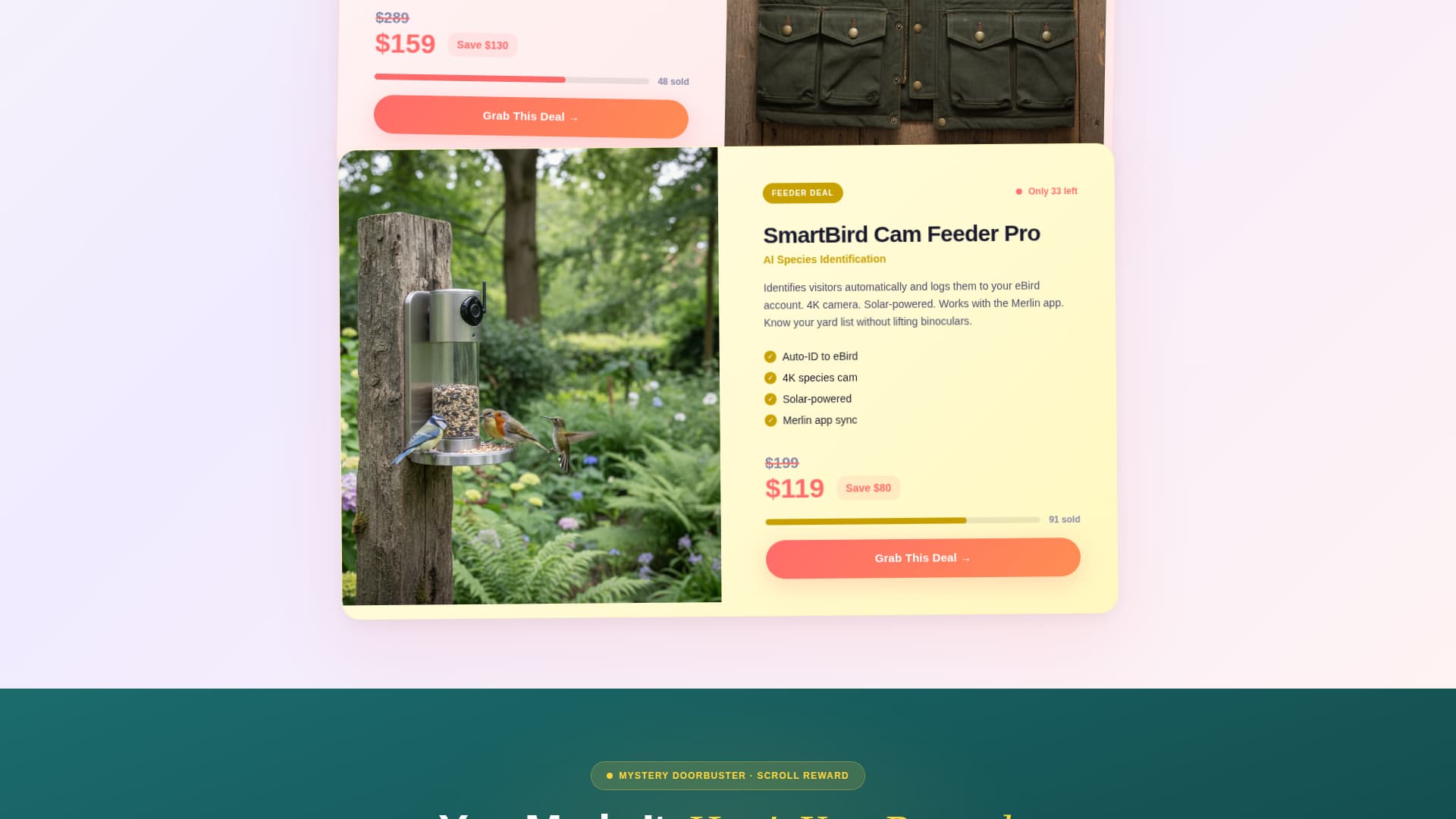 Flock - Vibrant Birdwatching Landing Page Template