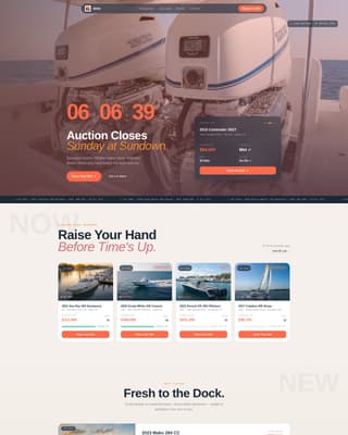 Specialist Auction Platforms & Types Pre-Launch & Coming Soon Website Template