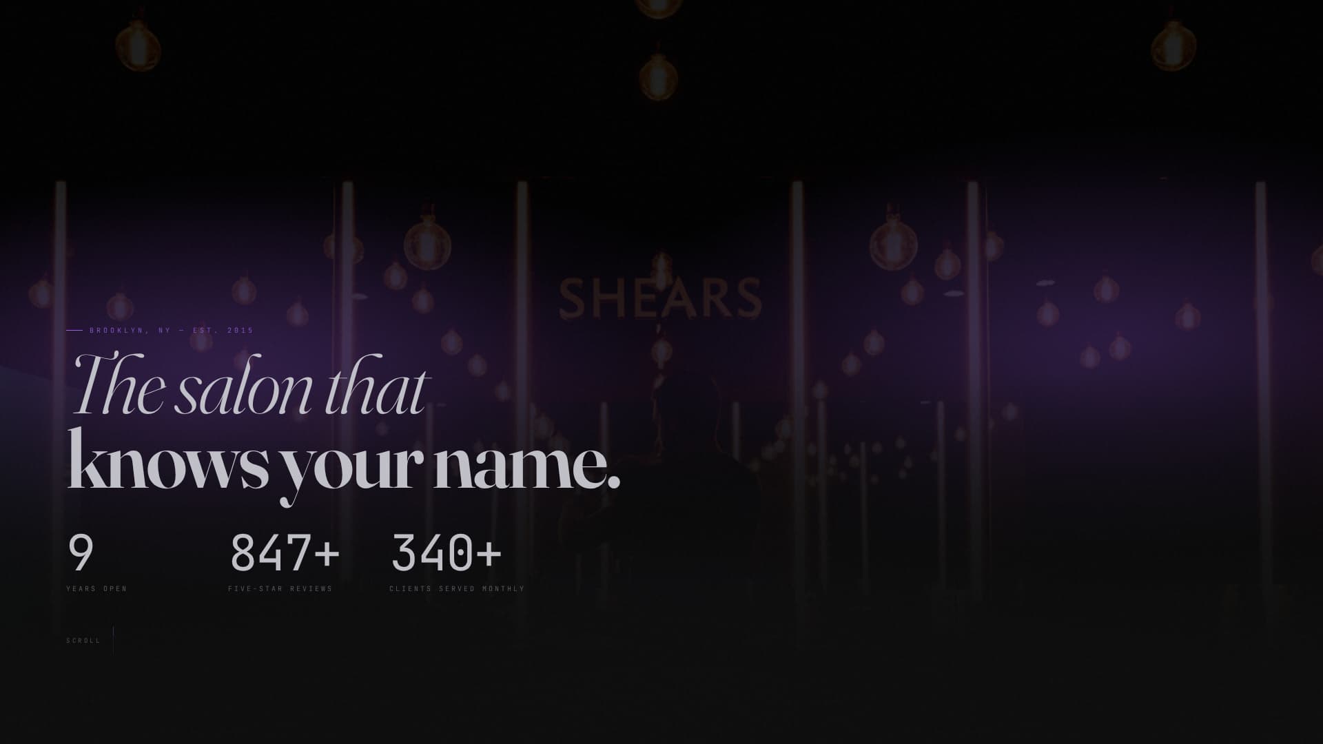 Hair Salon Specialist Booking Website Template
