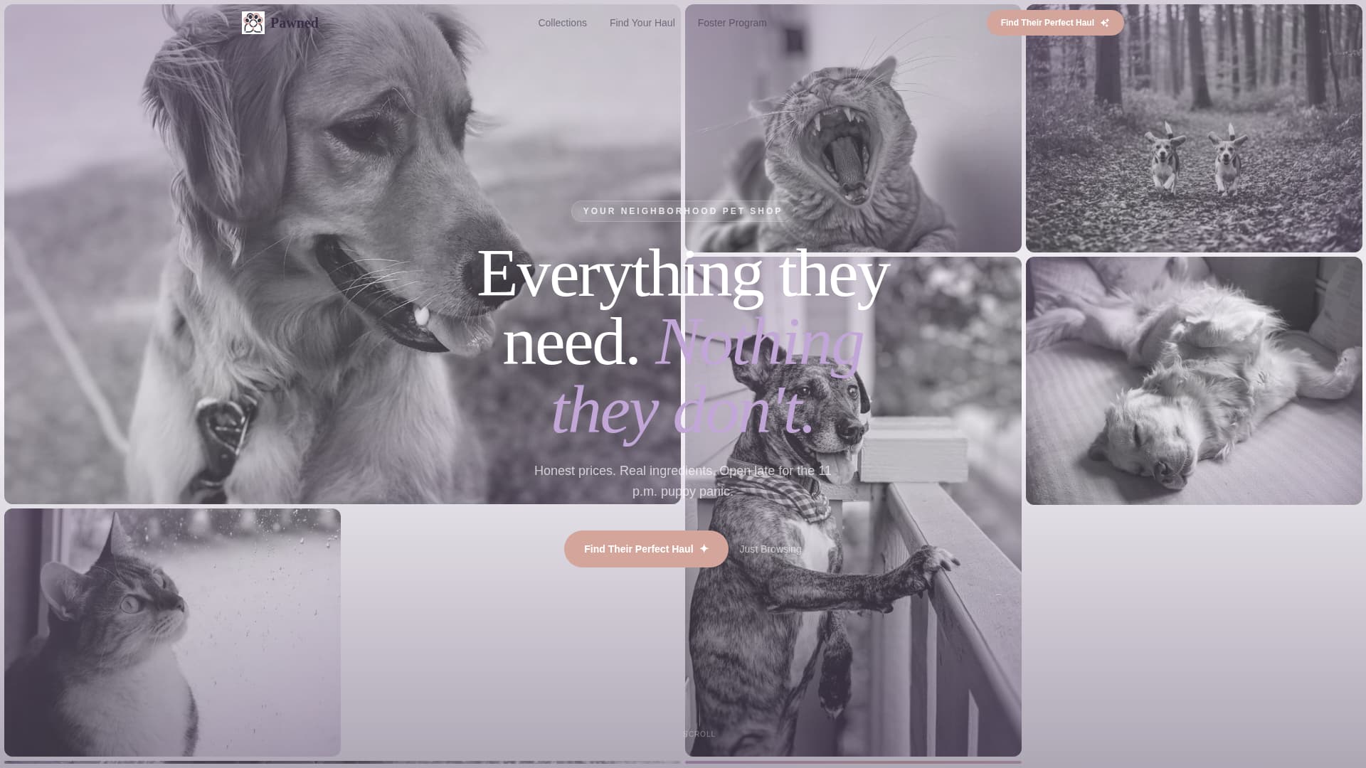 Pawned - Affordable Petshop Landing Page Template