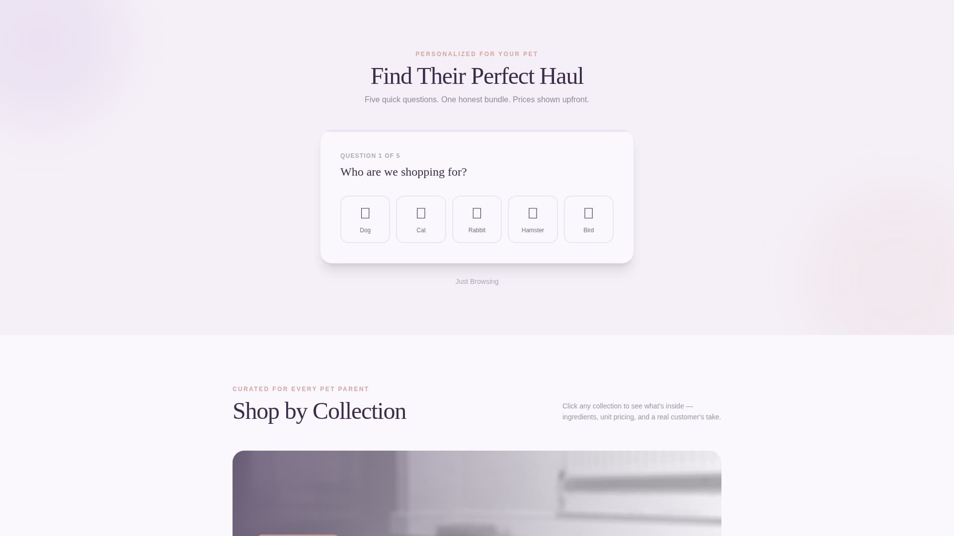 Pawned - Affordable Petshop Landing Page Template