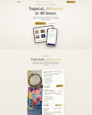 Bloco - Luxe Carnival Landing Page Template