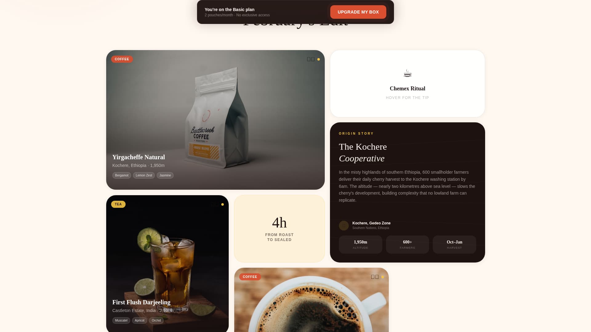 Steep - Curated Subscription Landing Page Template