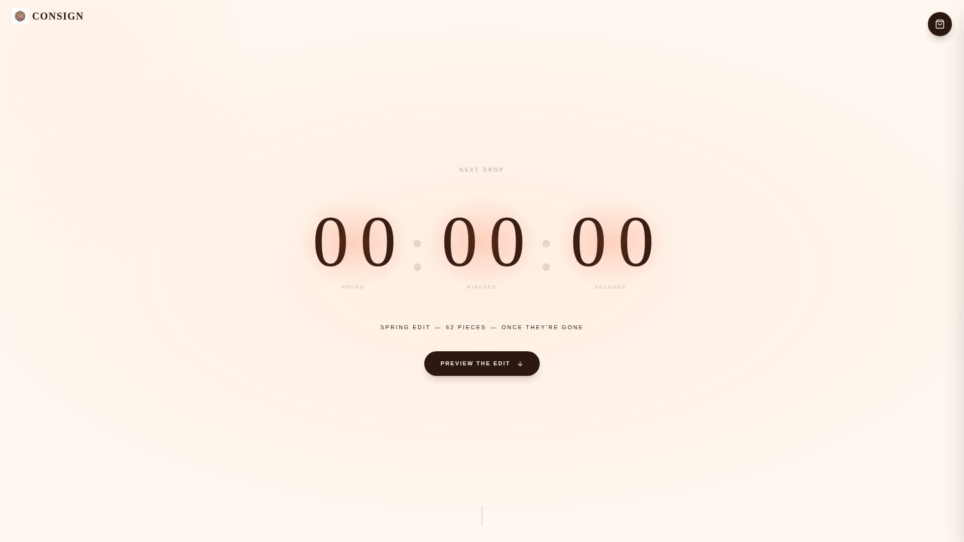 Consign - Curated Vintage Landing Page Template