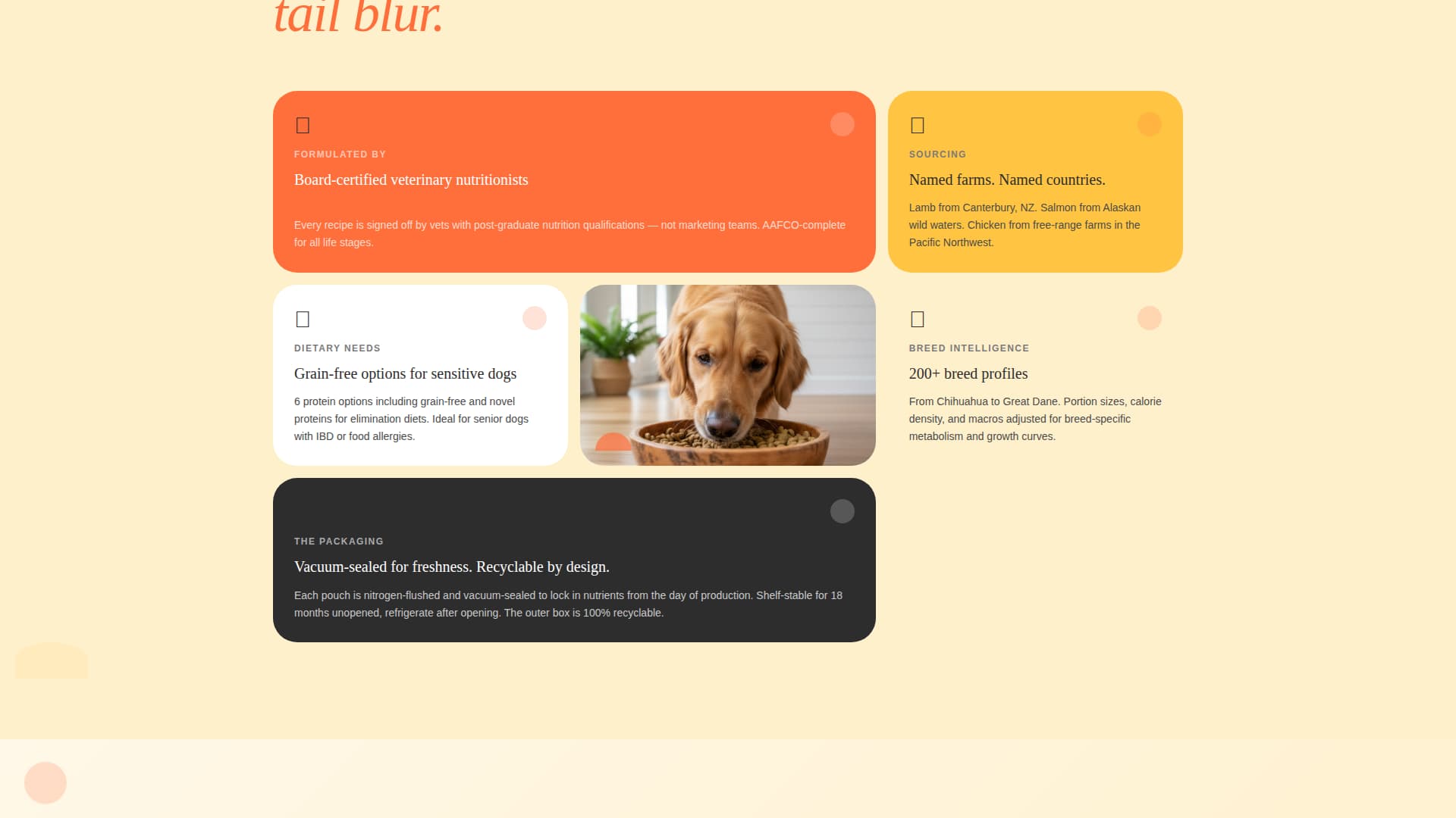 Kibble - Playful Dogfood Landing Page Template