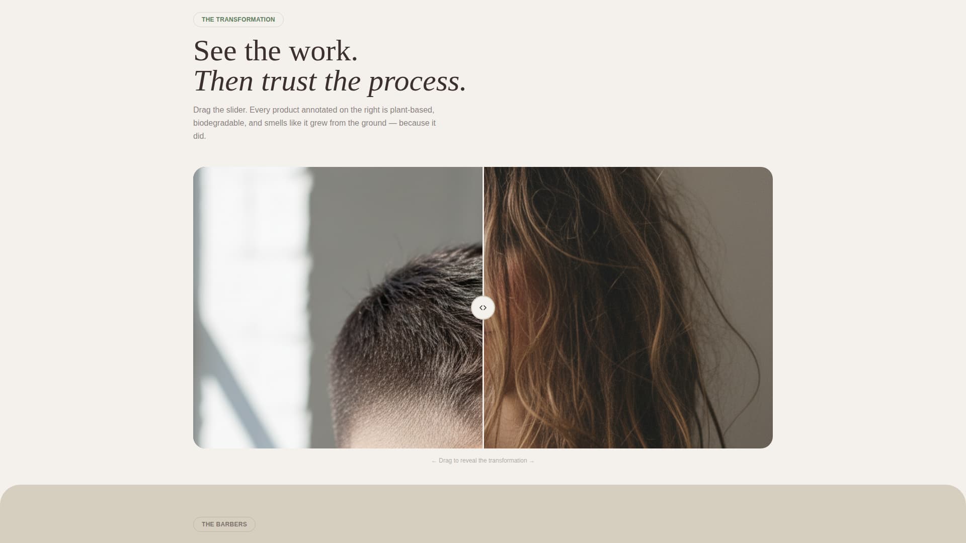 Eco-Friendly Business Booking Website Template