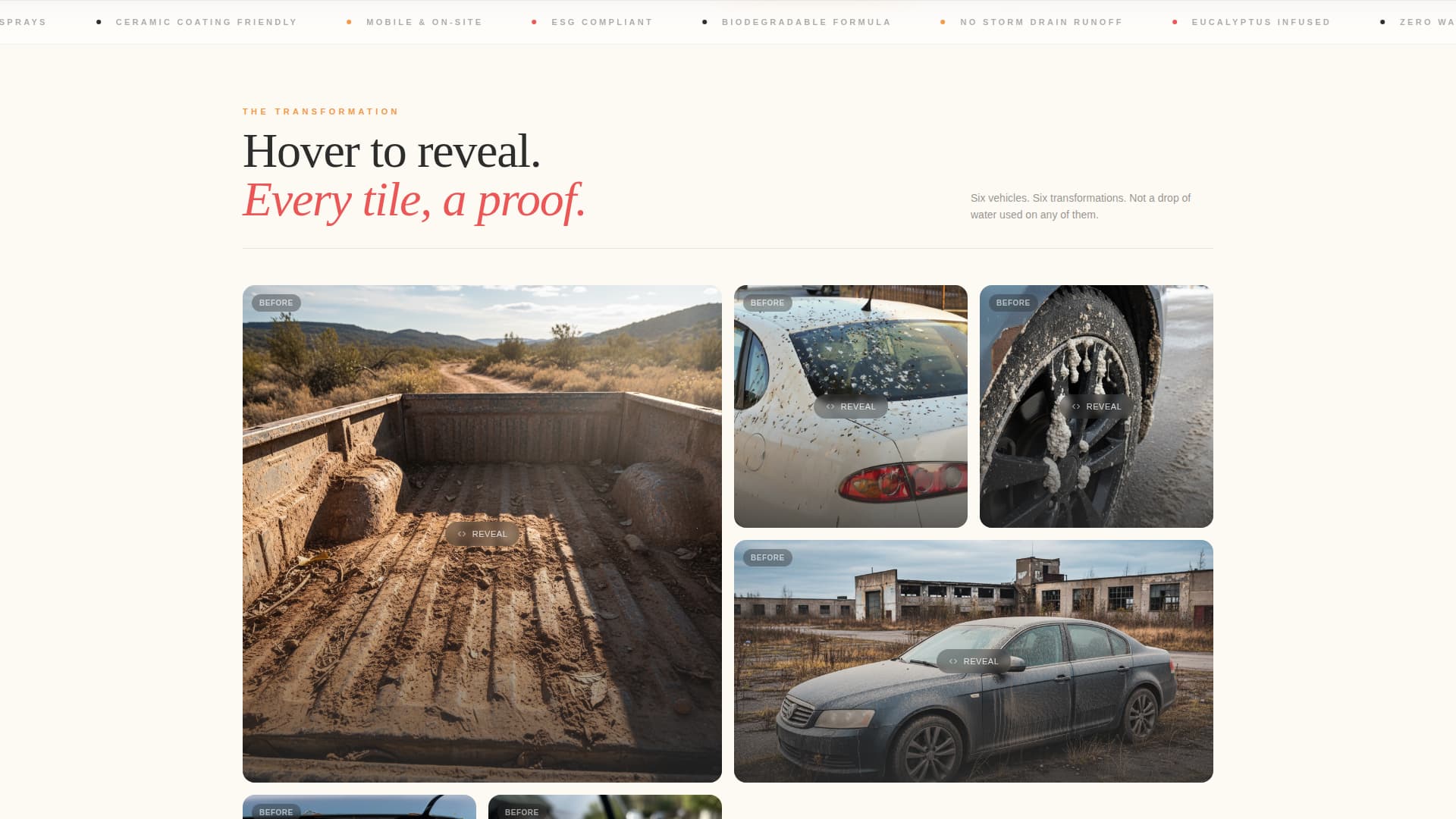 Eco-Friendly Business Specialist Booking Website Template