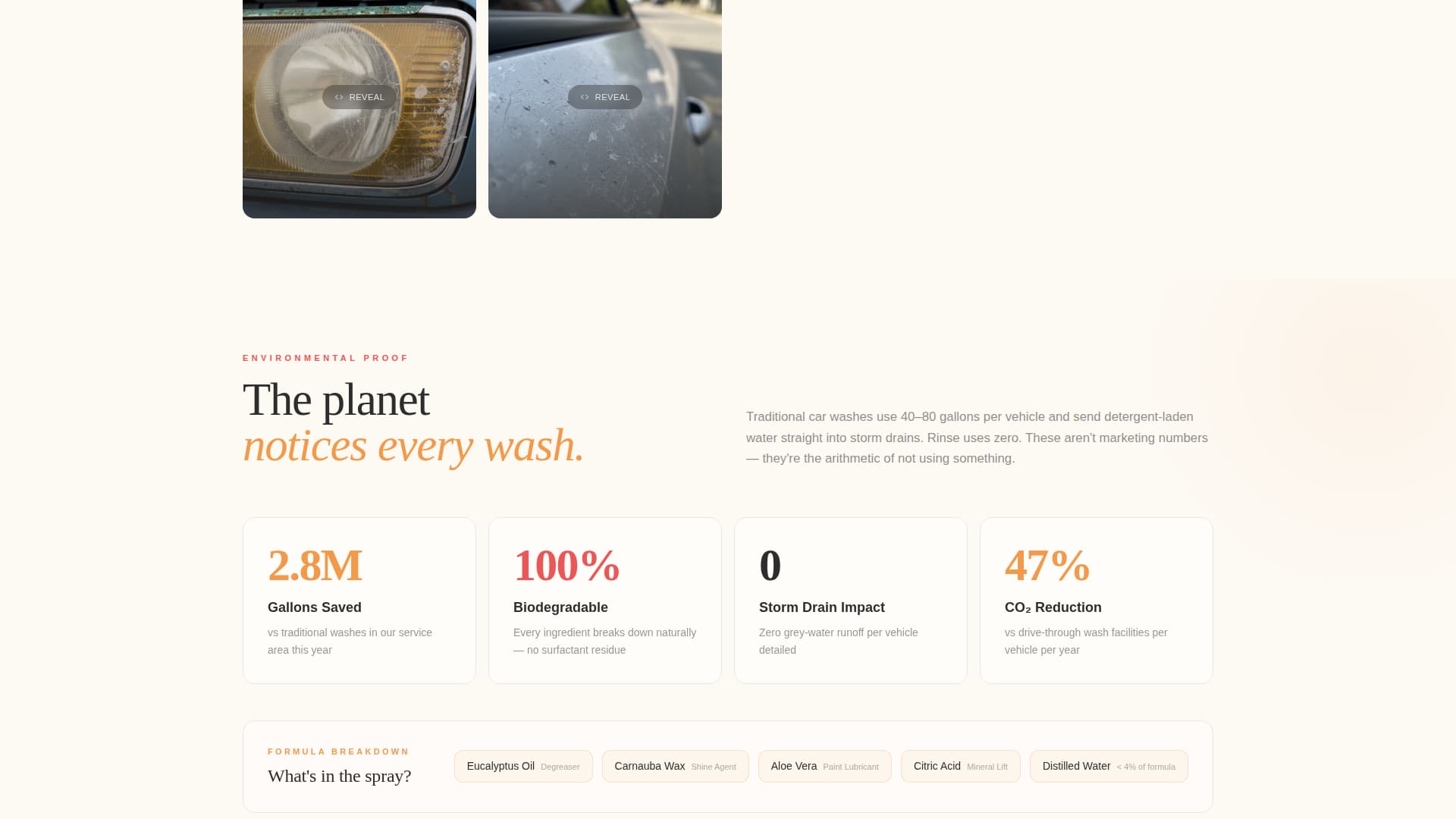 Eco-Friendly Business Specialist Booking Website Template