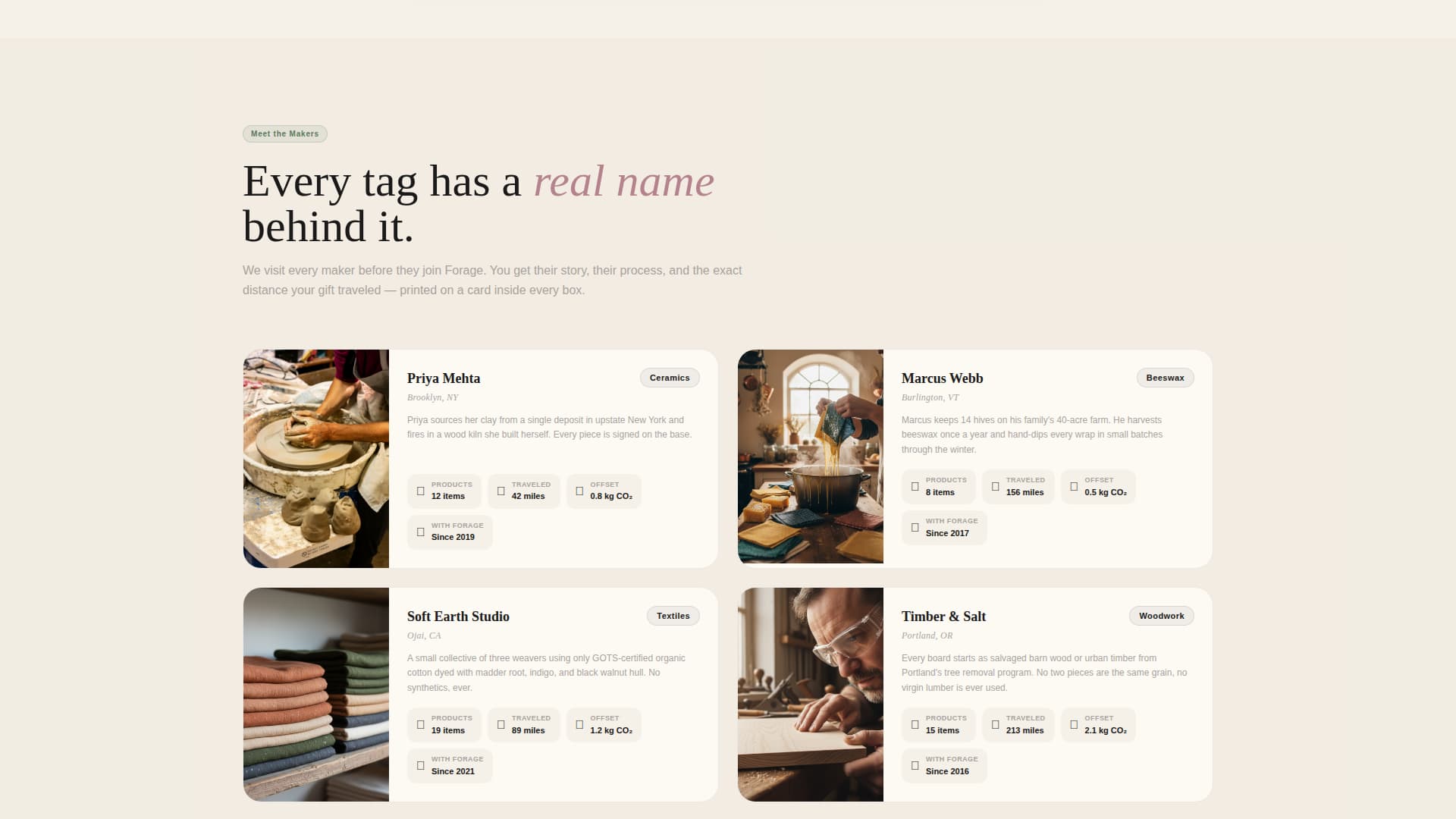 Eco-Friendly Business Specialist Blog Website Template