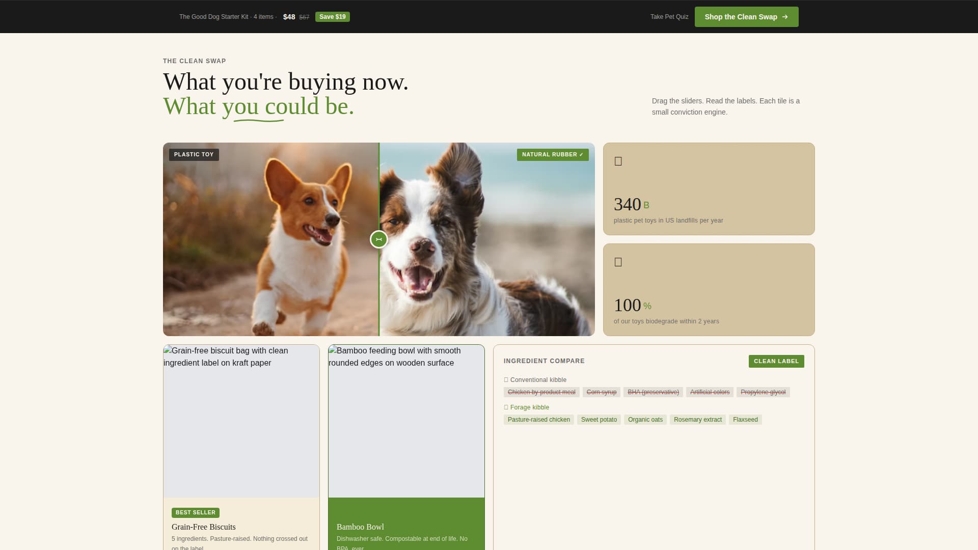 Eco-Friendly Business Specialist Professional Website Template
