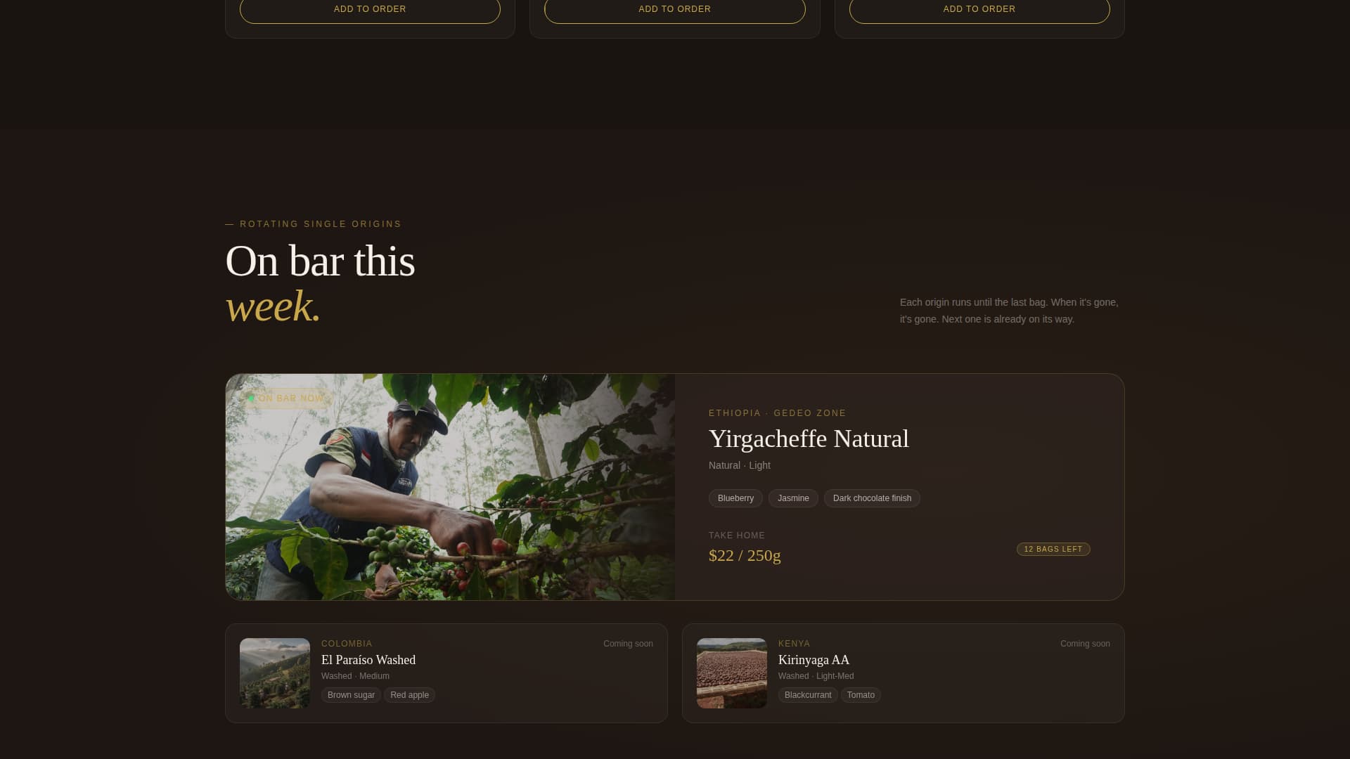 Express Business Specialist Professional Website Template