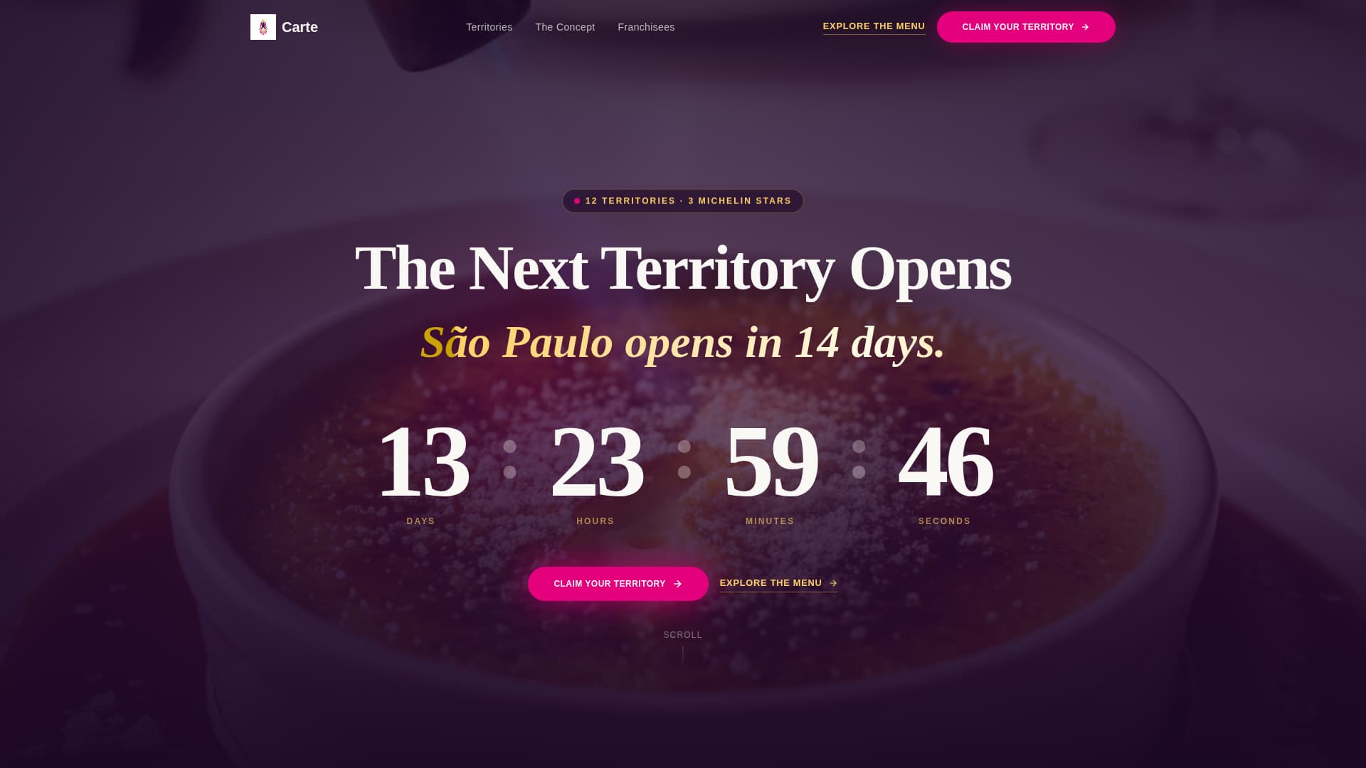 Franchise Business Specialist Professional Website Template