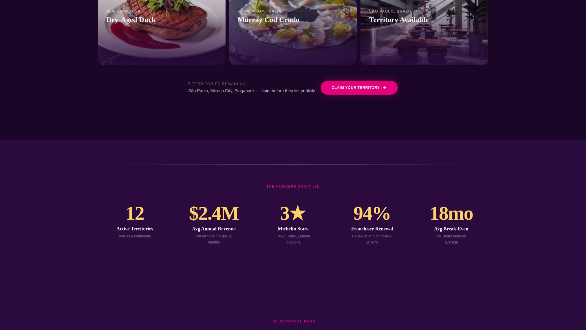 Franchise Business Specialist Professional Website Template
