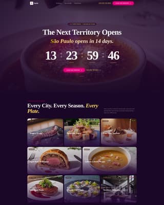Franchise Business Specialist Professional Website Template