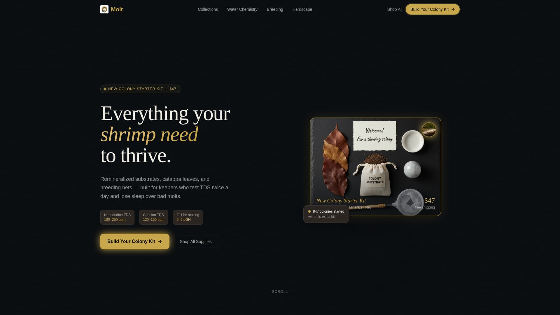 Molt — Expert Aquatic Hobby Landing Page Template