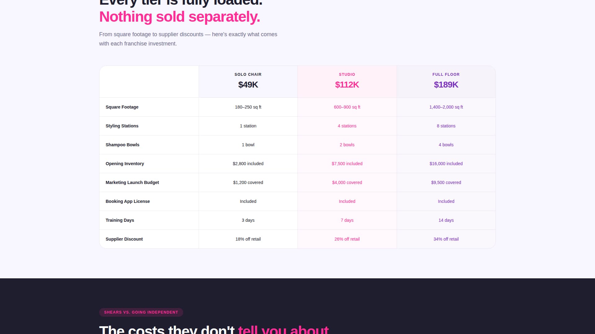 Franchise Business Pricing Website Template