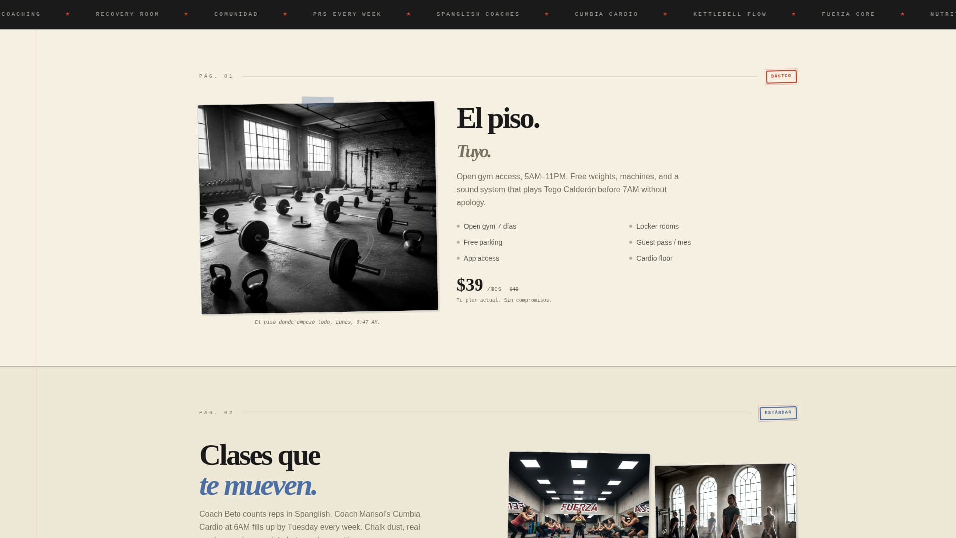 Hispanic-Owned Business Specialist Professional Website Template