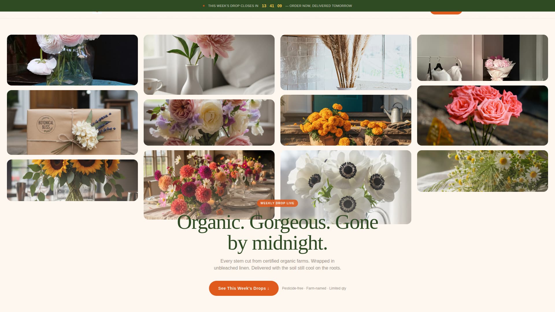 Bloom - Luxe Organic Landing Page Template