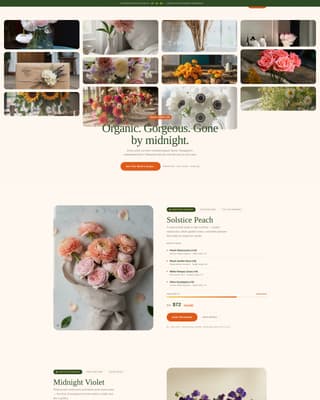 Bloom - Luxe Organic Landing Page Template