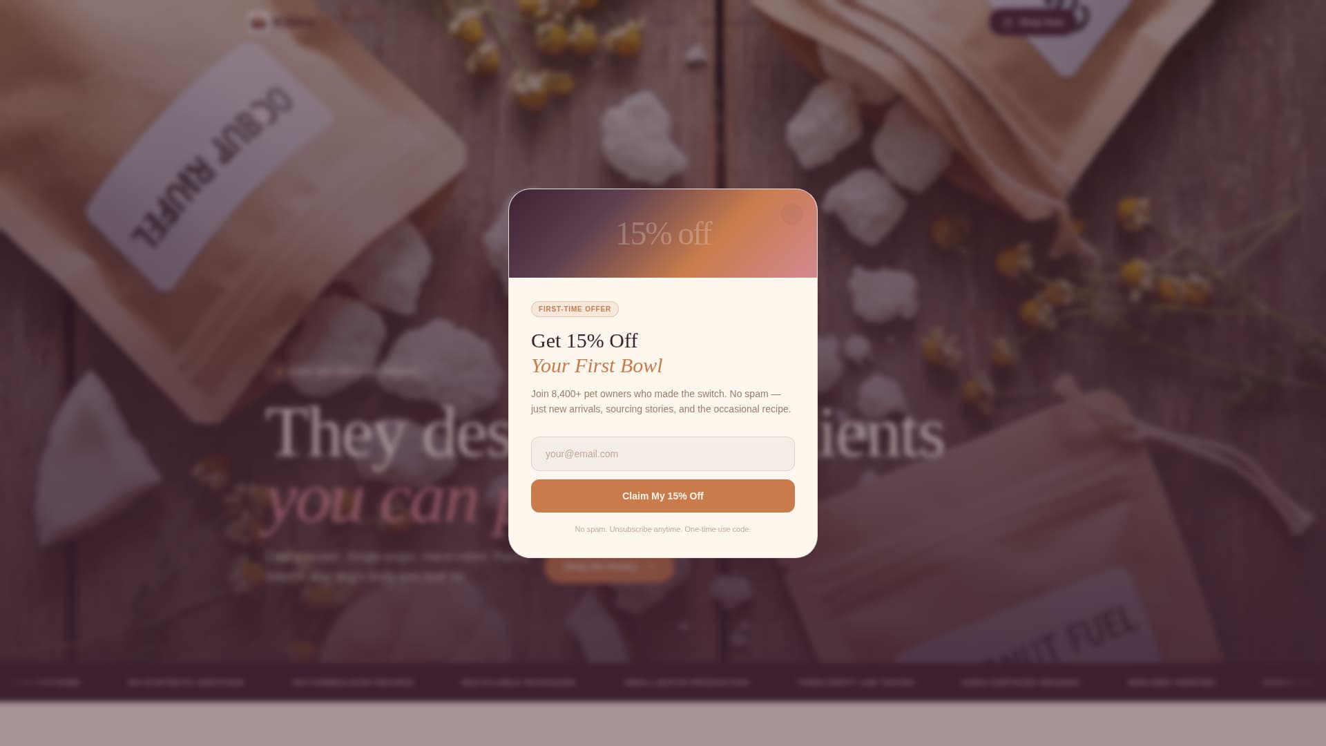Organic Business Blog Website Template