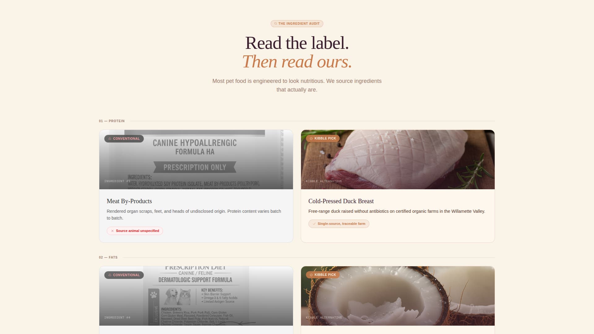 Organic Business Blog Website Template