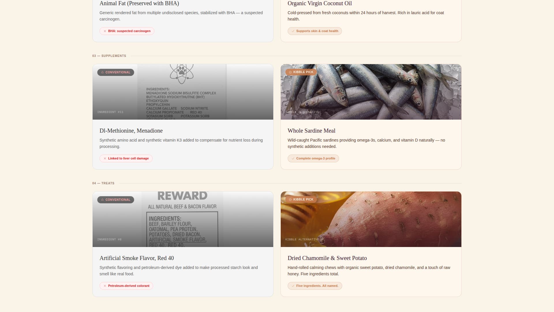 Organic Business Blog Website Template