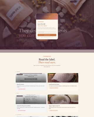 Organic Business Blog Website Template