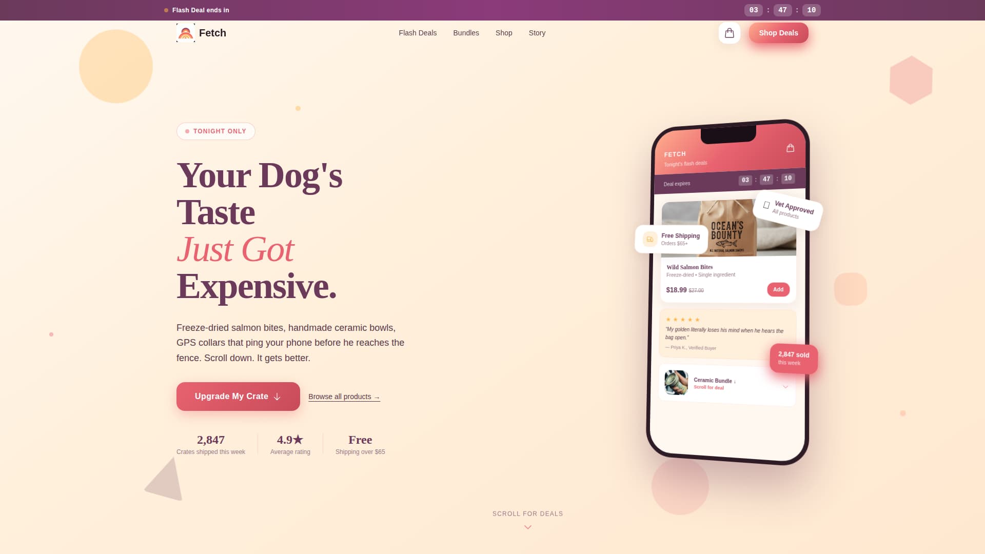 Fetch - Premium Petshop Landing Page Template