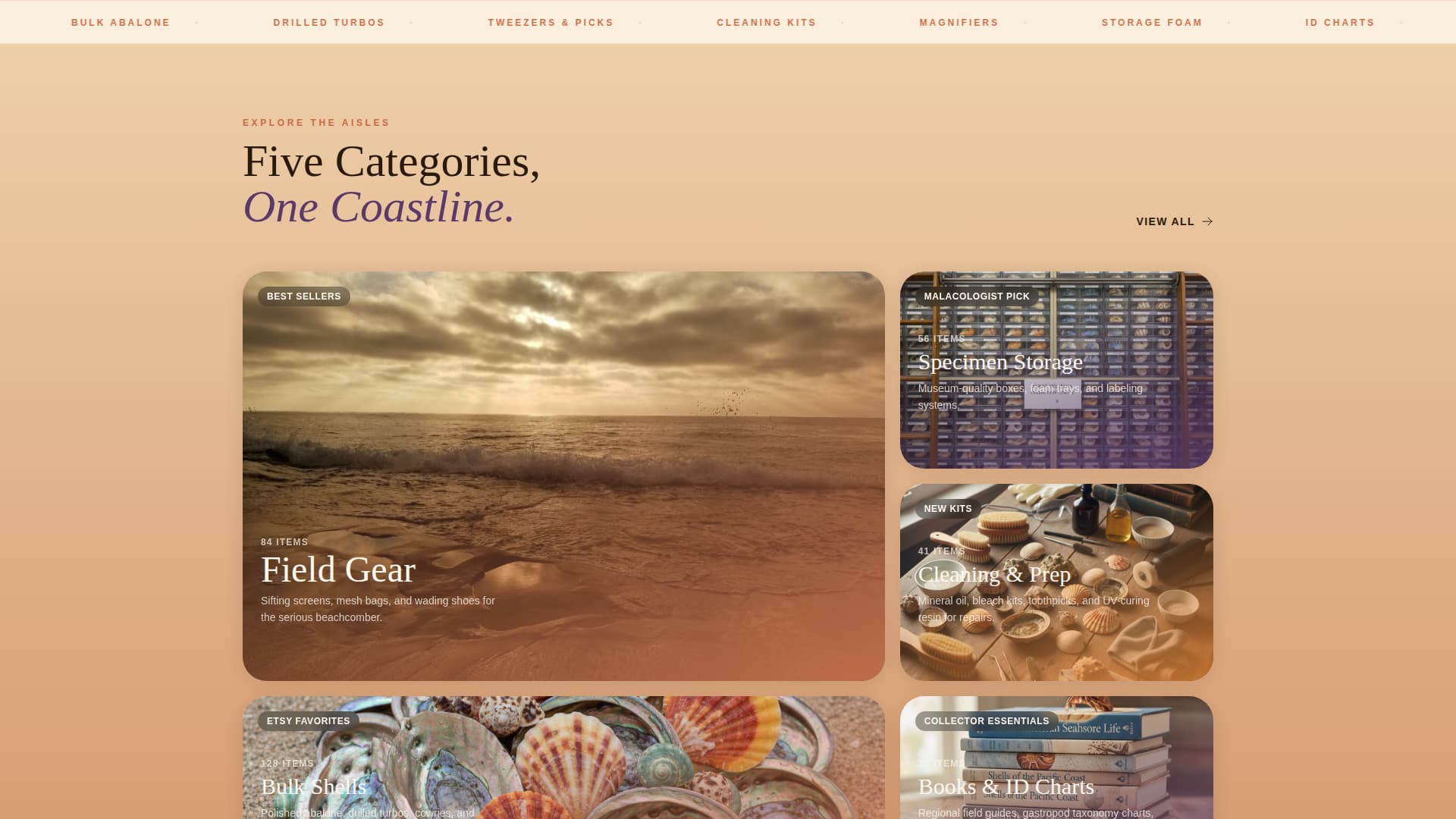 Sheller - Coastal Shell Collecting Landing Page Template