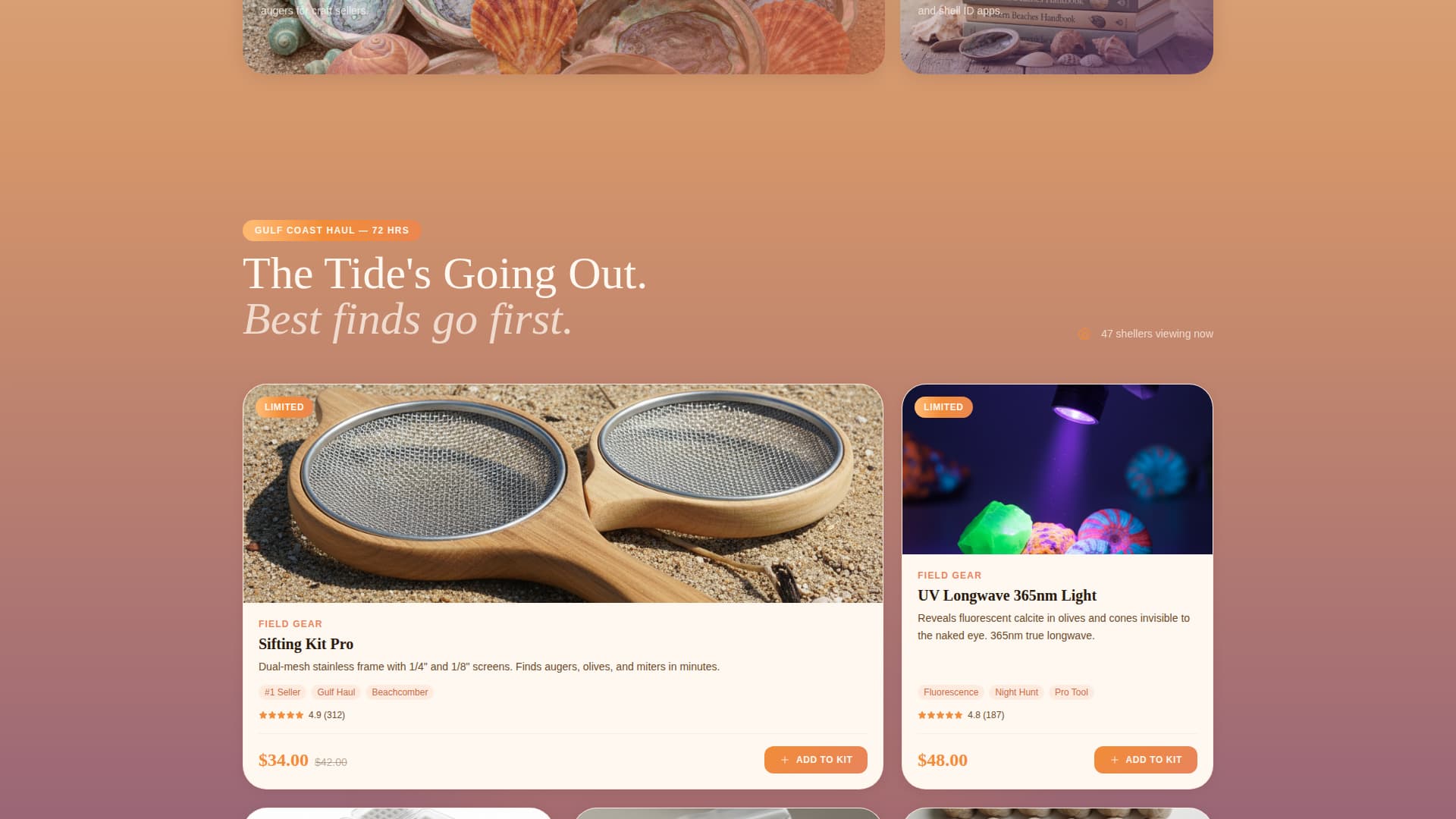 Sheller - Coastal Shell Collecting Landing Page Template
