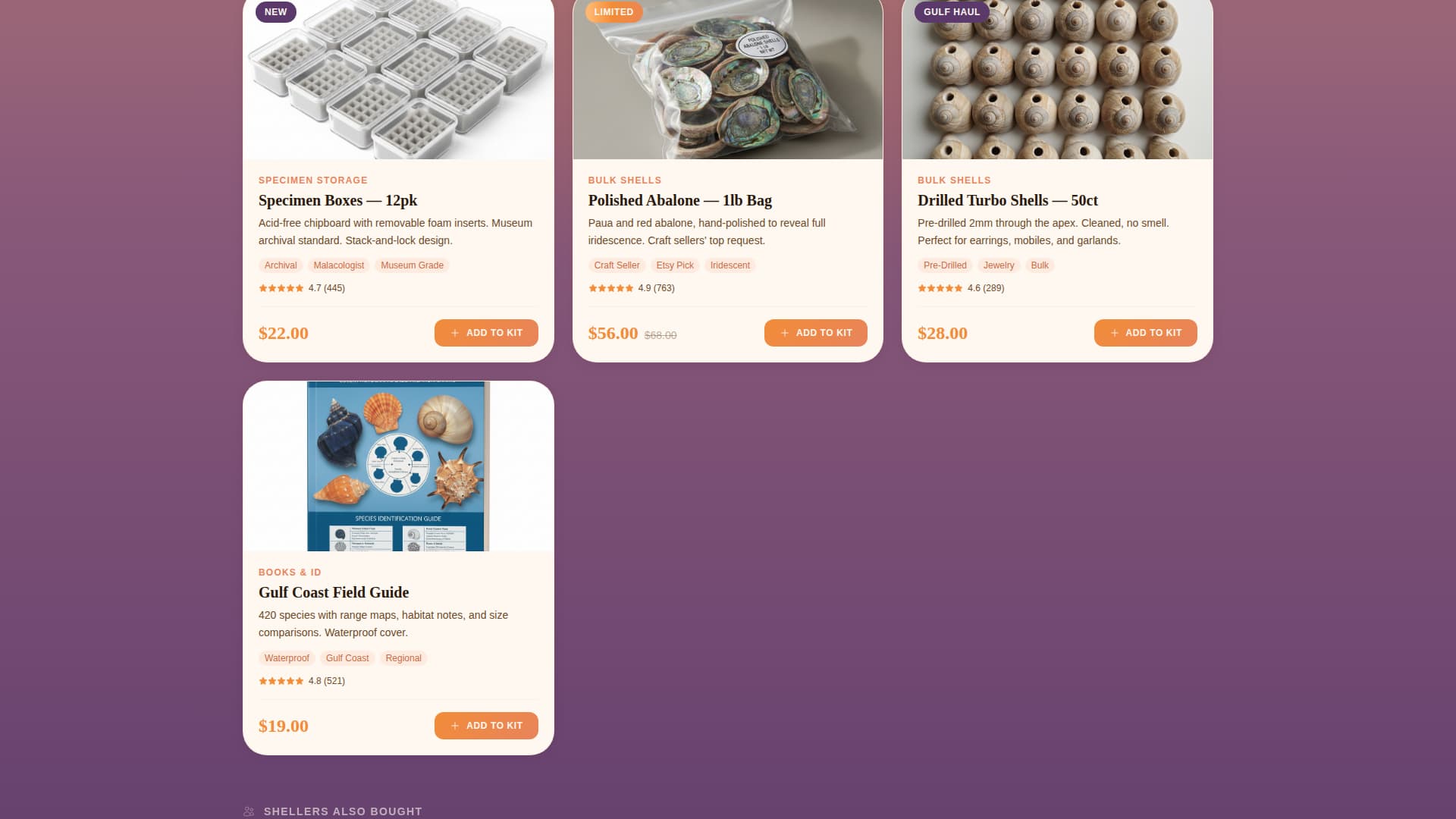 Sheller - Coastal Shell Collecting Landing Page Template