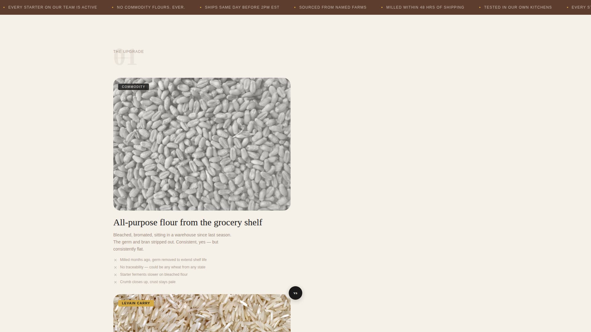 Levain - Artisan Sourdough Landing Page Template