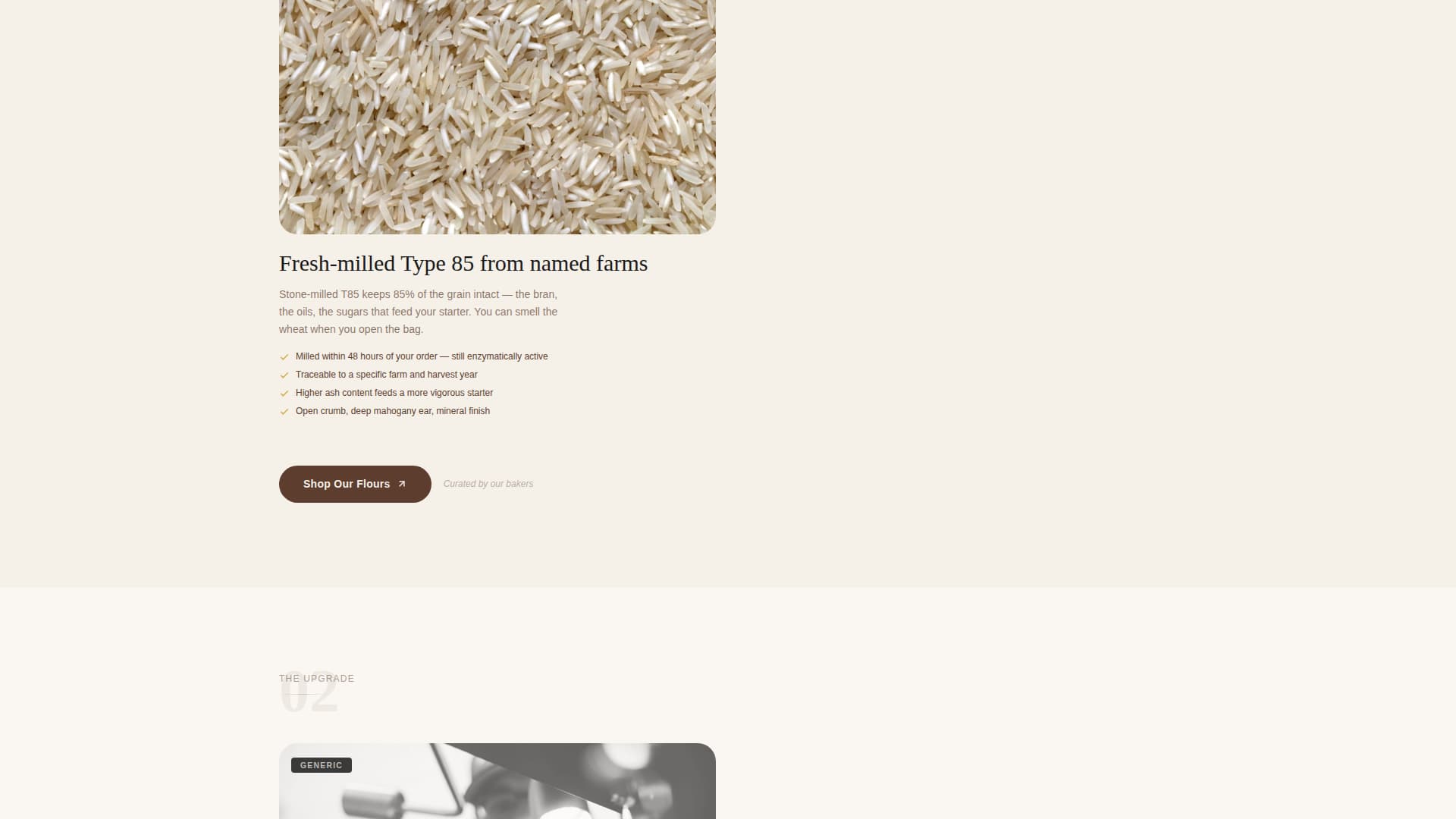 Levain - Artisan Sourdough Landing Page Template